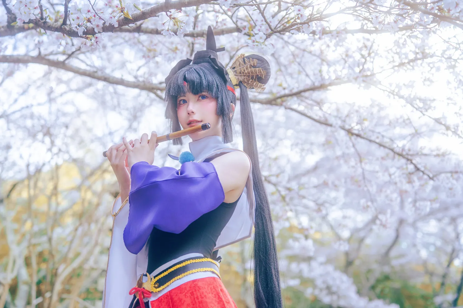 樱花, FGO, 白丝, 牛若丸cos, 京都 - 第9张