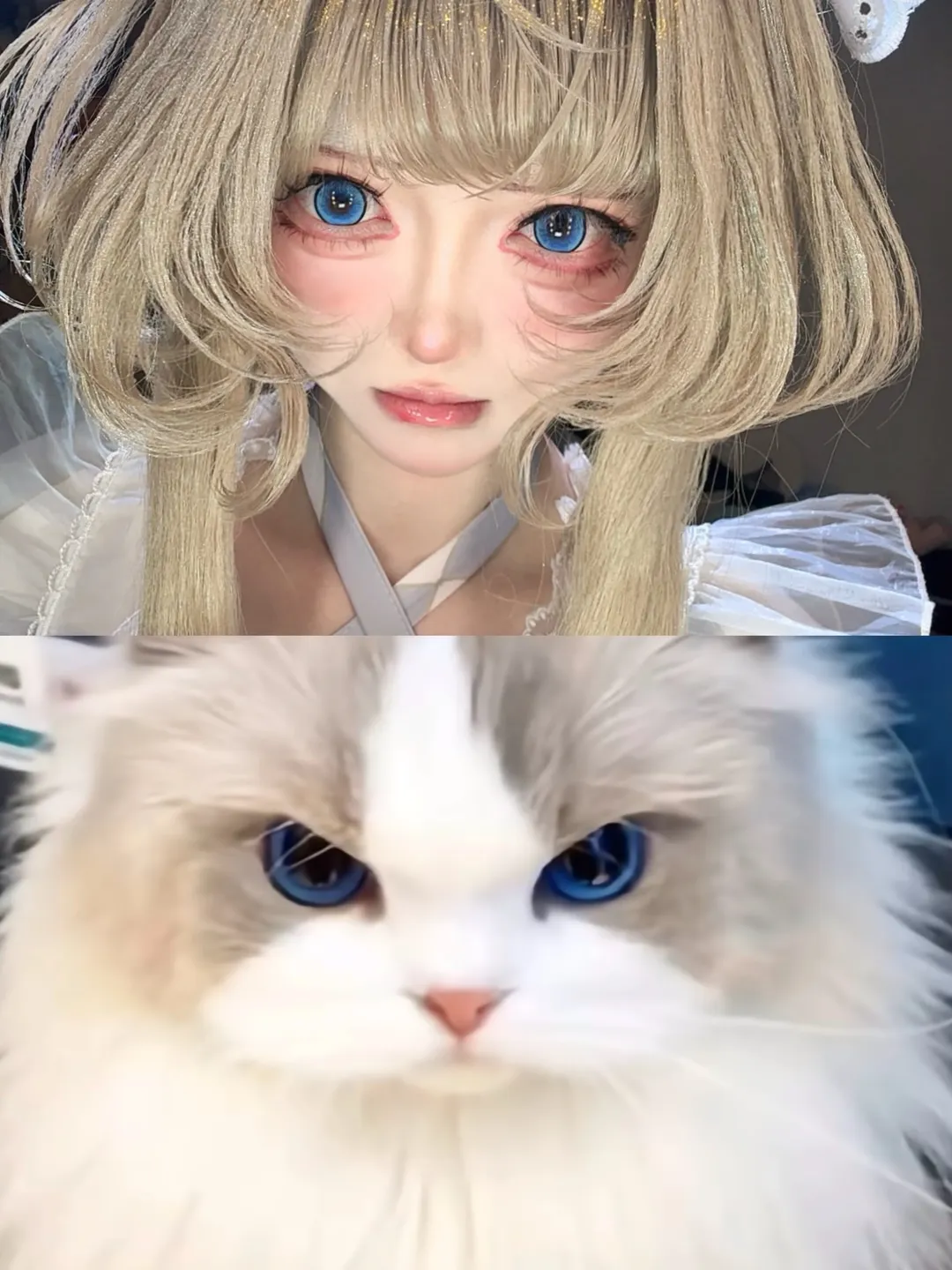 Sandrone Cosplay, Genshin Impact, Self-styled outfit, Blue colored contacts, Cat-like makeup - Image 1