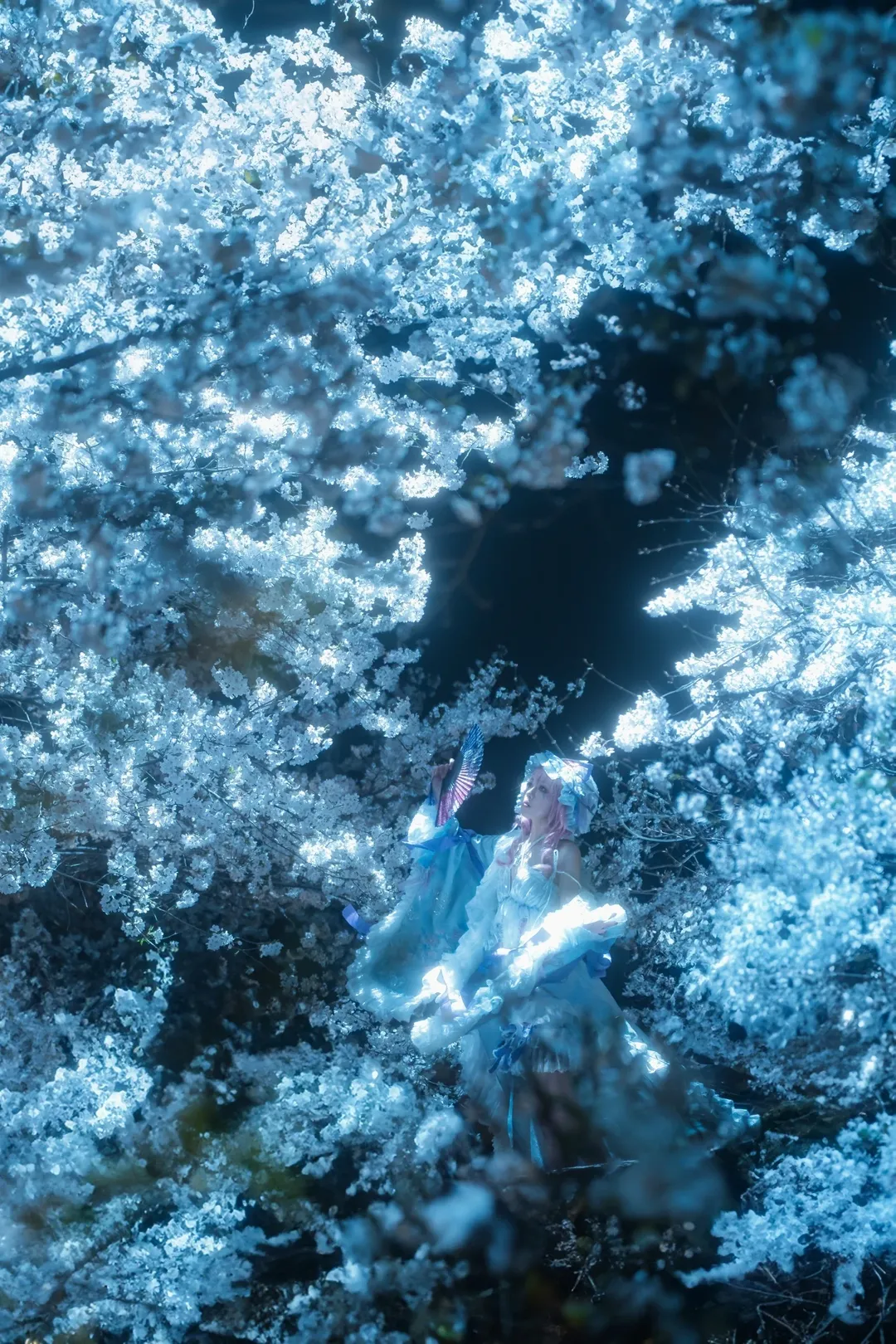 cosplay, 东方Project, 樱花, 西行寺幽幽子cos, 杭州约拍