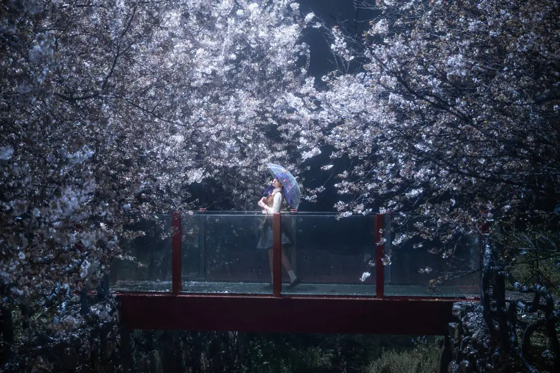 Fate, 间桐樱cos, 白丝穿搭, 制服少女, 夜樱摄影 - 第2张