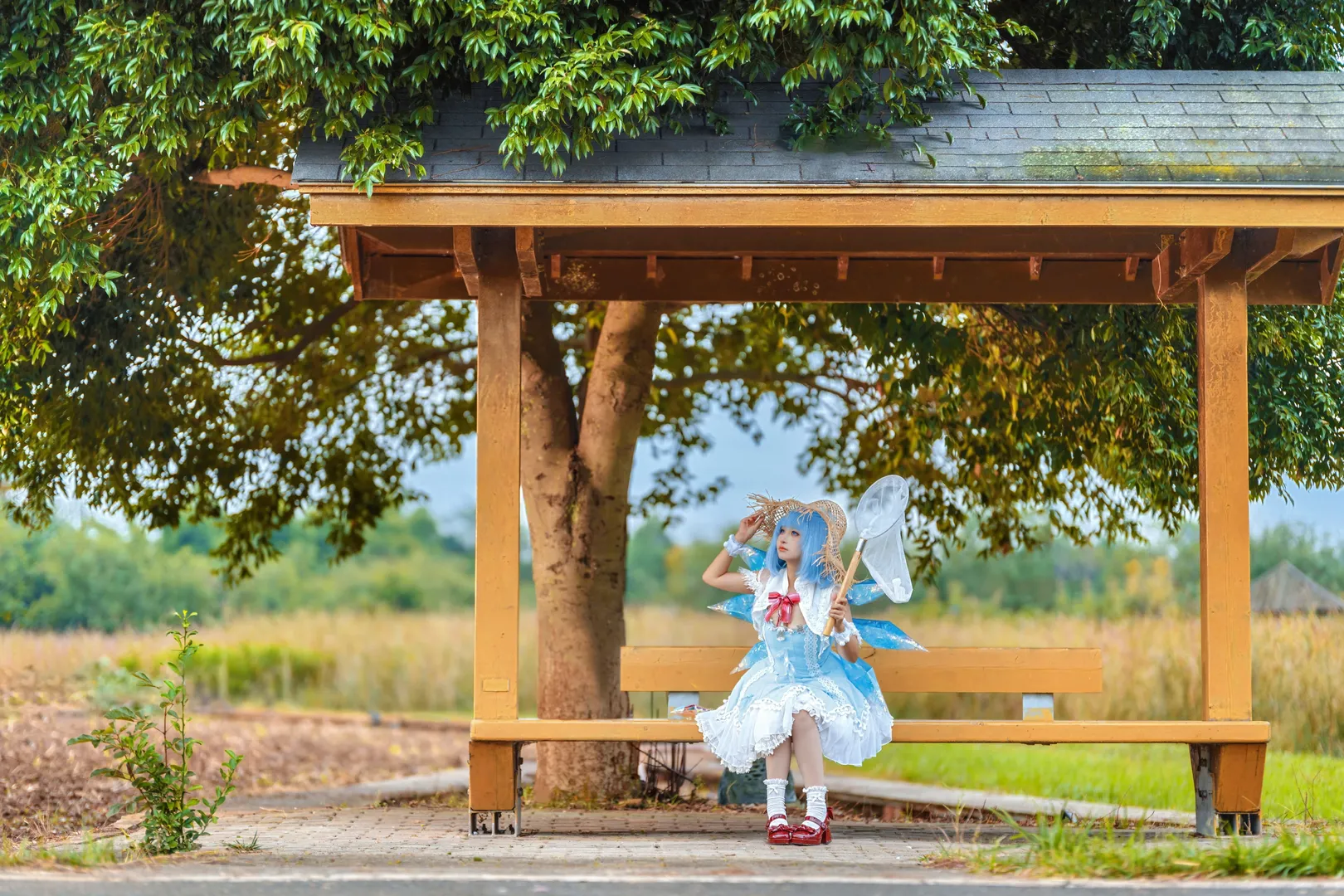 Cosplay, 二次元, 东方project, 琪露诺cos, 夏日清凉 - 第2张