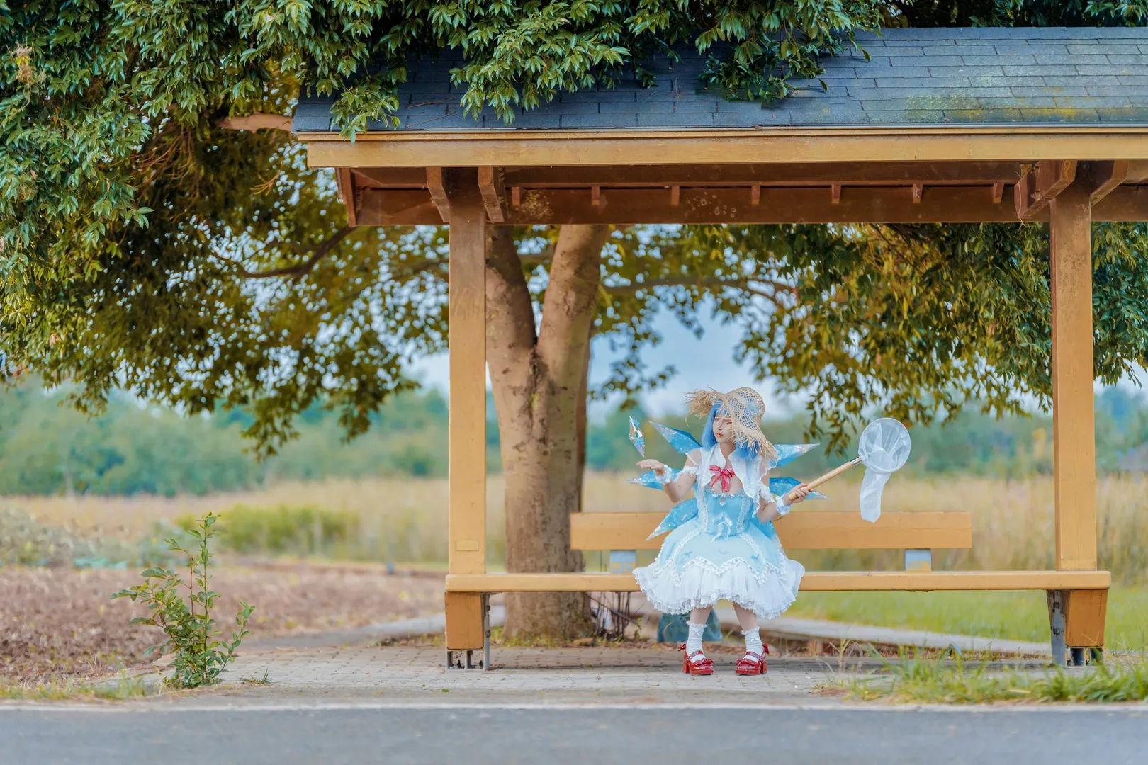 Cosplay, 二次元, 东方project, 琪露诺cos, 夏日清凉 - 第4张