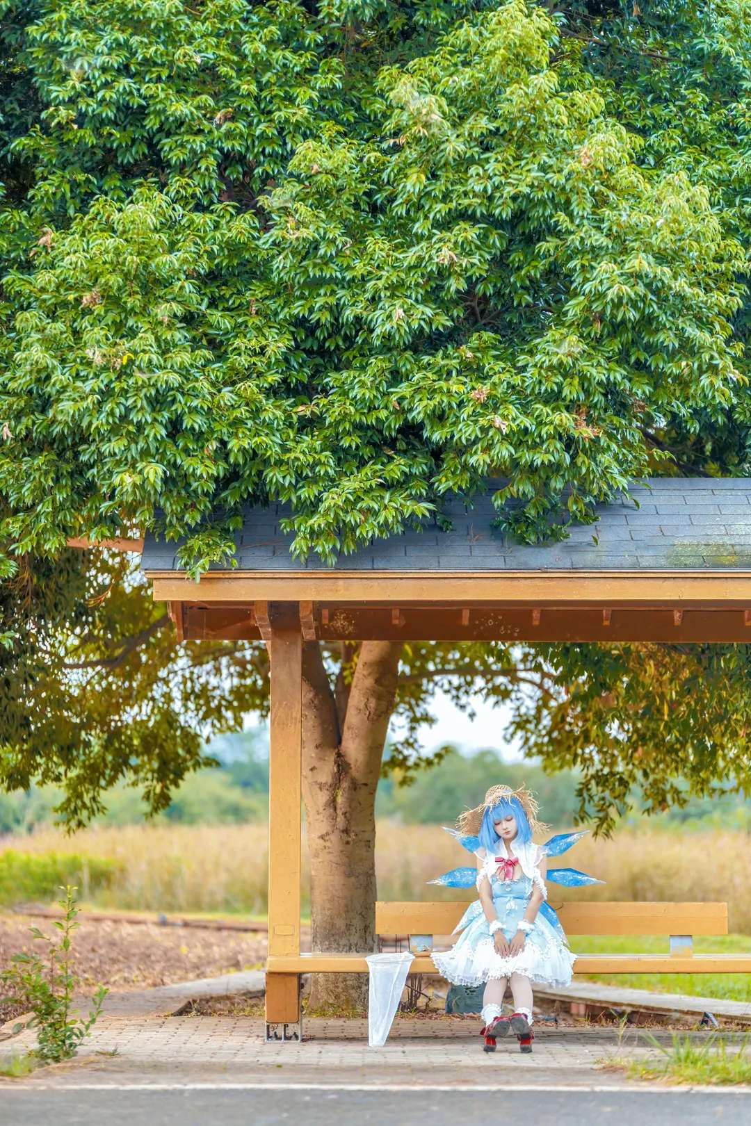 Cosplay, 二次元, 东方project, 琪露诺cos, 夏日清凉 - 第5张