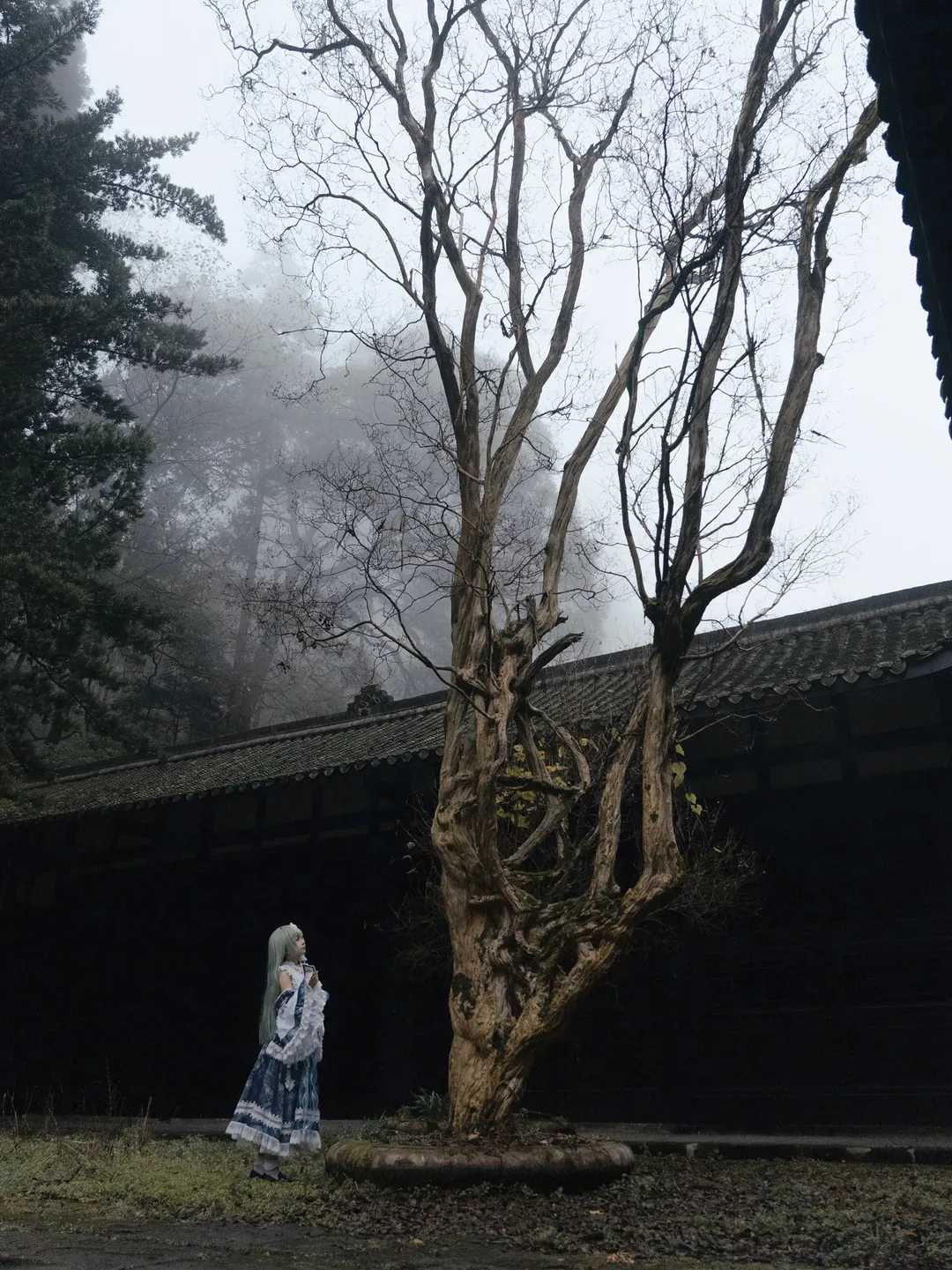东方Project, 东方二设, 东风谷早苗cos, 白色蕾丝袜, 雾中庭院 - 第2张