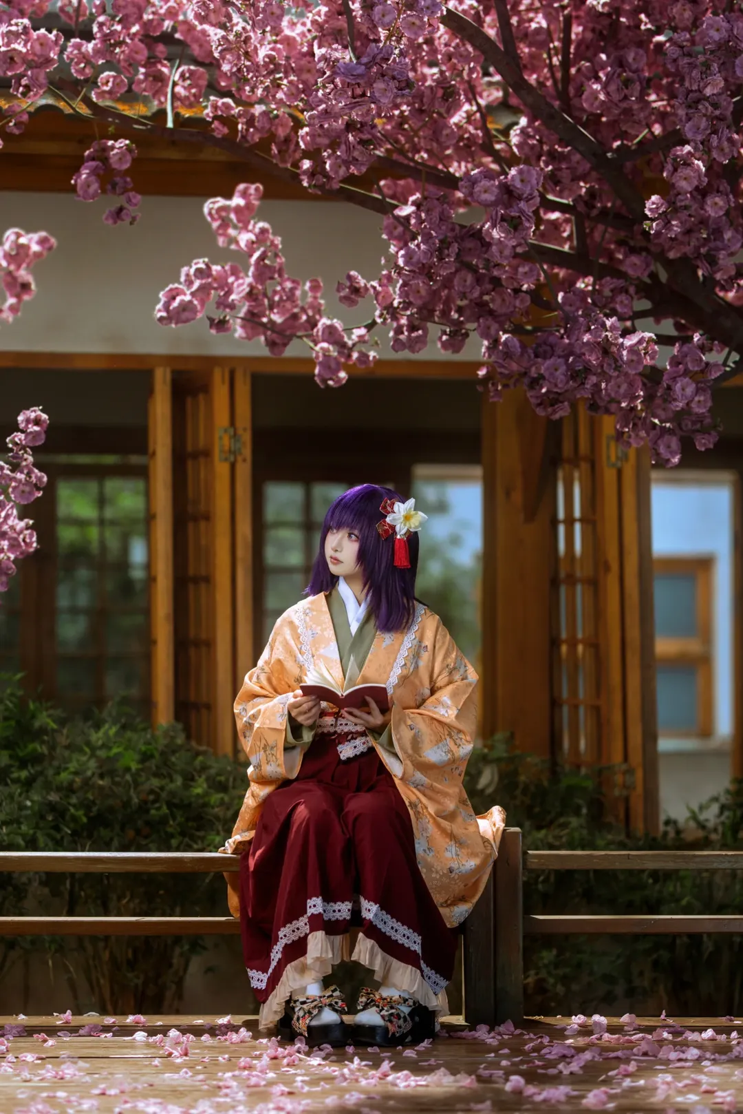 古风摄影, 二次元摄影, 东方Project, 和风cosplay, 稗田阿求cos