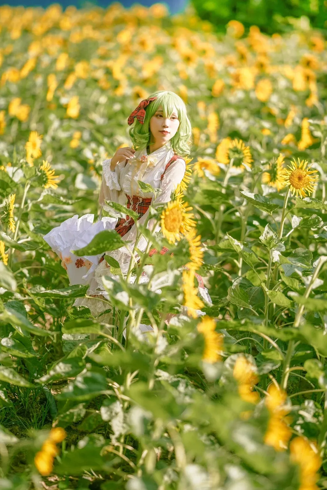东方project, 夏日cosplay, 风见幽香cos, 向日葵花海, Lolita装扮 - 第13张