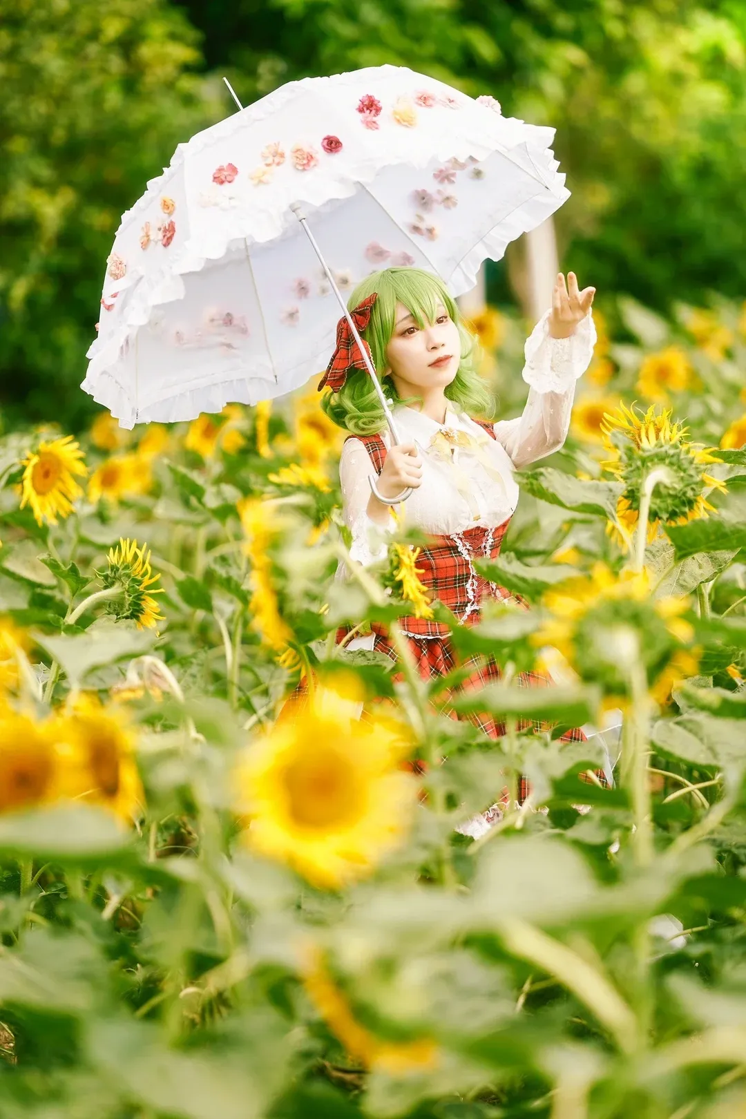 东方project, 夏日cosplay, 风见幽香cos, 向日葵花海, Lolita装扮 - 第6张