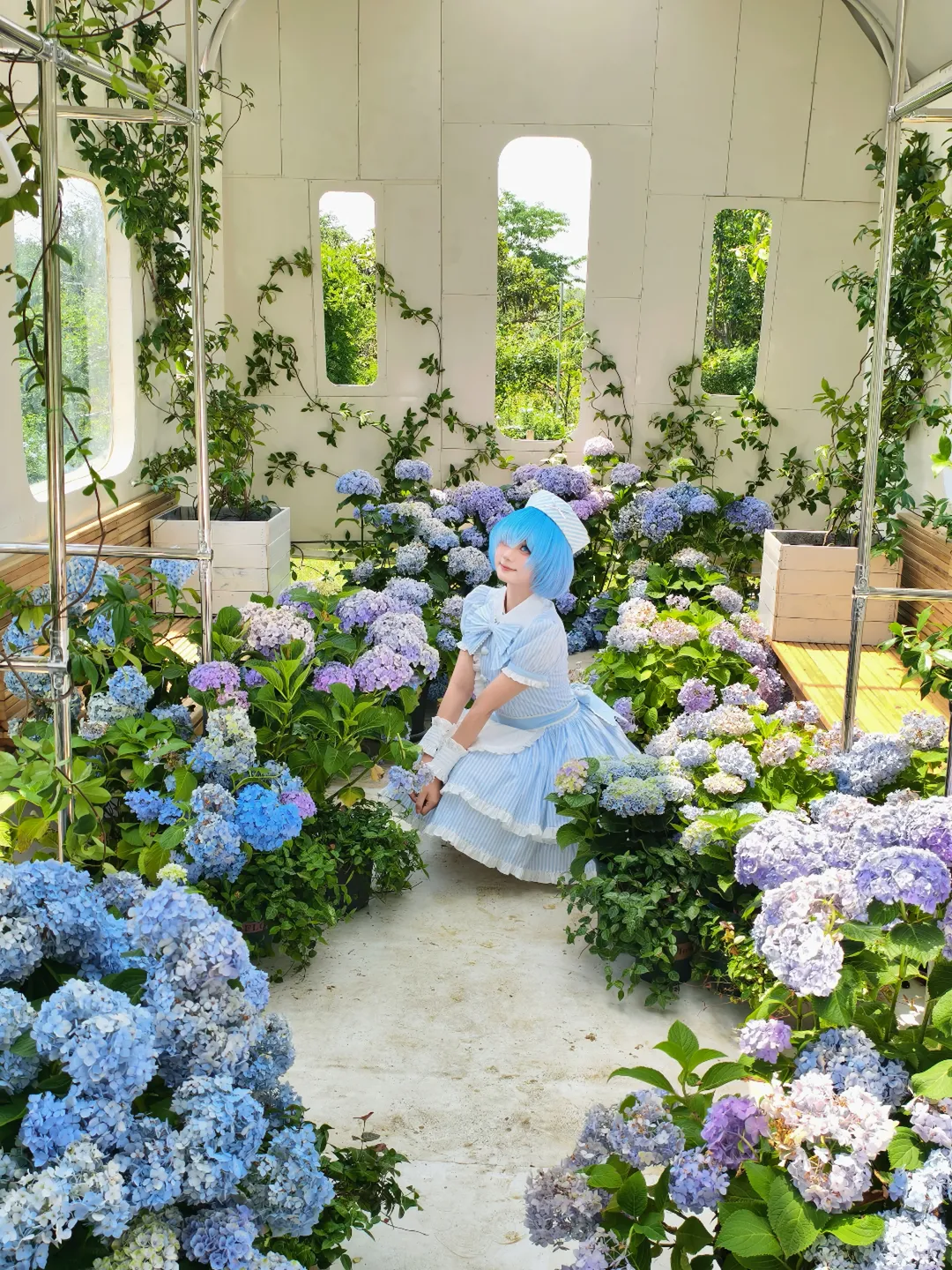 绣球花, 从零开始的异世界生活, 蕾姆cos, 白丝, cosplay摄影花絮 - 第3张