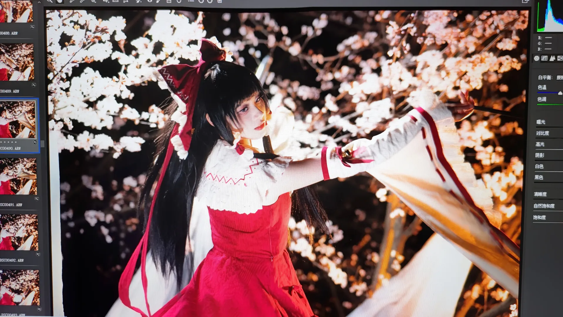 Reimu Hakurei Cosplay, Touhou Project, 2D daily life, Cosplay post-processing, Night cherry blossom photography - Image 4