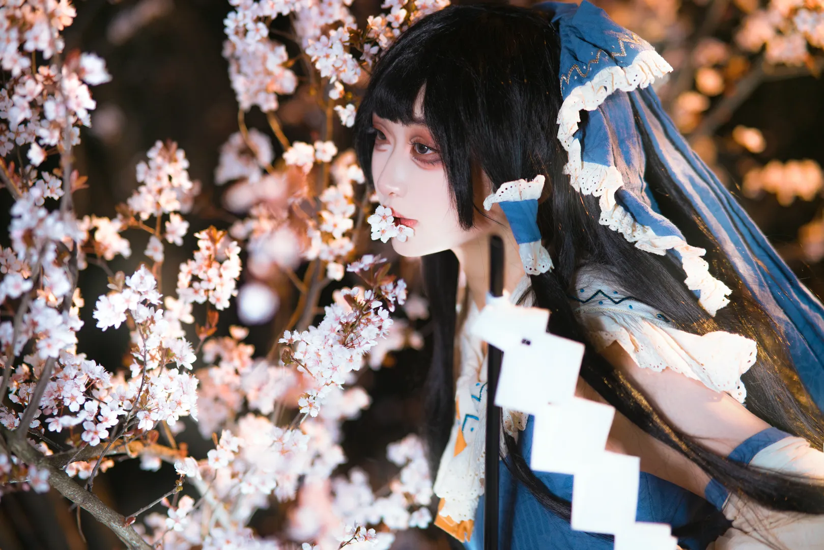 博丽灵梦cos, 东方Project, 东方二设, 花海外景, 夜樱拍照 - 第2张