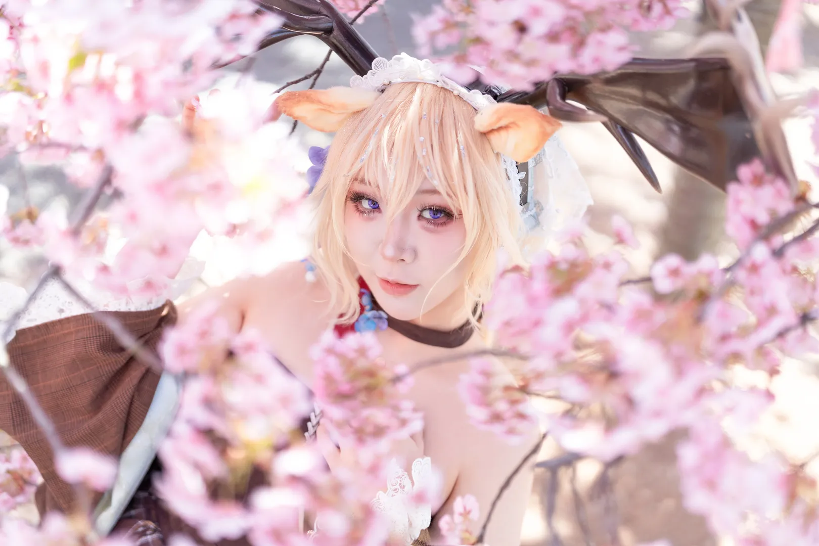 Cosplay摄影, 明日方舟, 薇薇安娜cos, 寄自奥格尼斯科, 辰山樱花 - 第2张