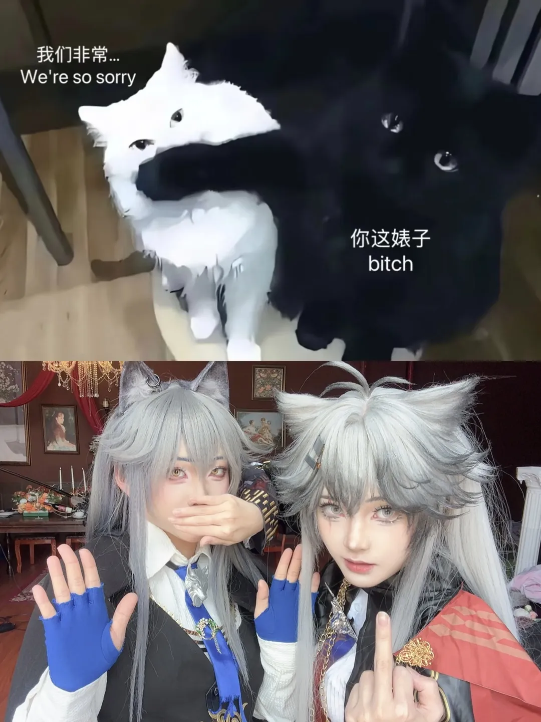 明日方舟, 荒芜拉普兰德, 明日方舟创作者应援计划, 缄默德克萨斯cos, cosplay双狼组合 - 第2张