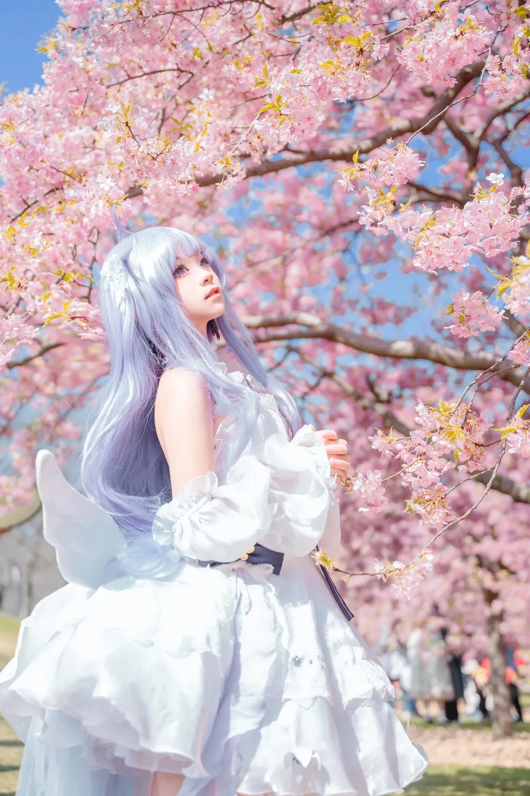 碧蓝航线, 白丝, 独角兽cos, 樱花写真, 外景cos - 第6张