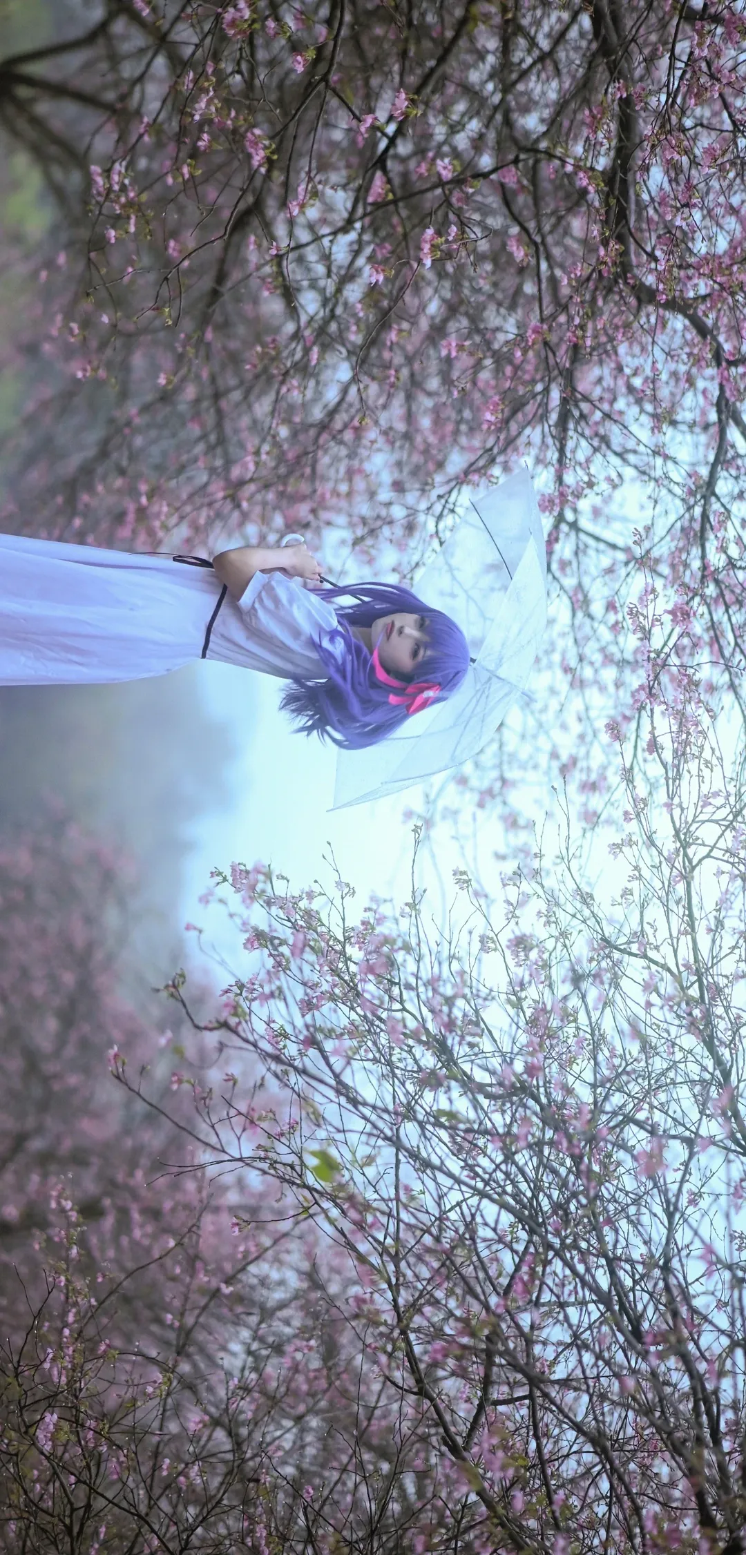 cosplay, Fate, 间桐樱cos, 夜景摄影, 蓝紫发 - 第10张