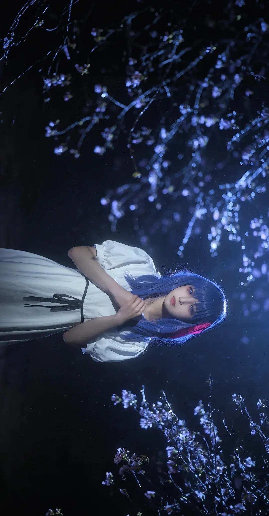 cosplay, Fate, 间桐樱cos, 夜景摄影, 蓝紫发