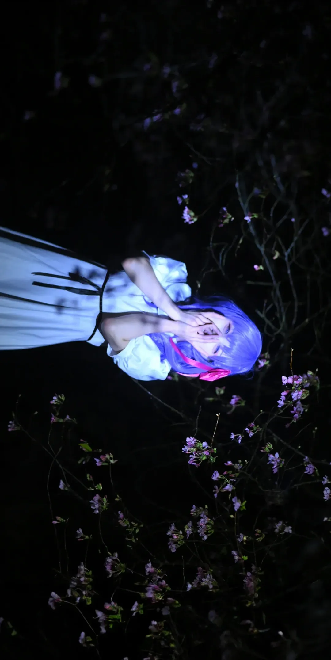 cosplay, Fate, 间桐樱cos, 夜景摄影, 蓝紫发 - 第3张