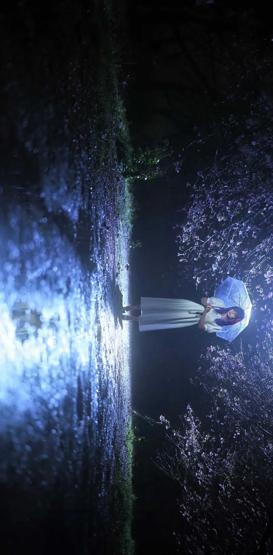 cosplay, Fate, 间桐樱cos, 夜景摄影, 蓝紫发 - 第4张