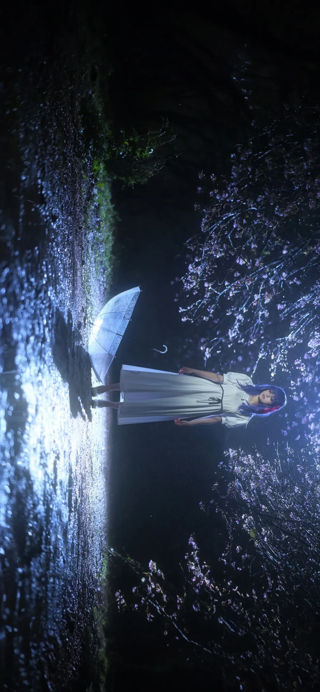 cosplay, Fate, 间桐樱cos, 夜景摄影, 蓝紫发 - 第5张