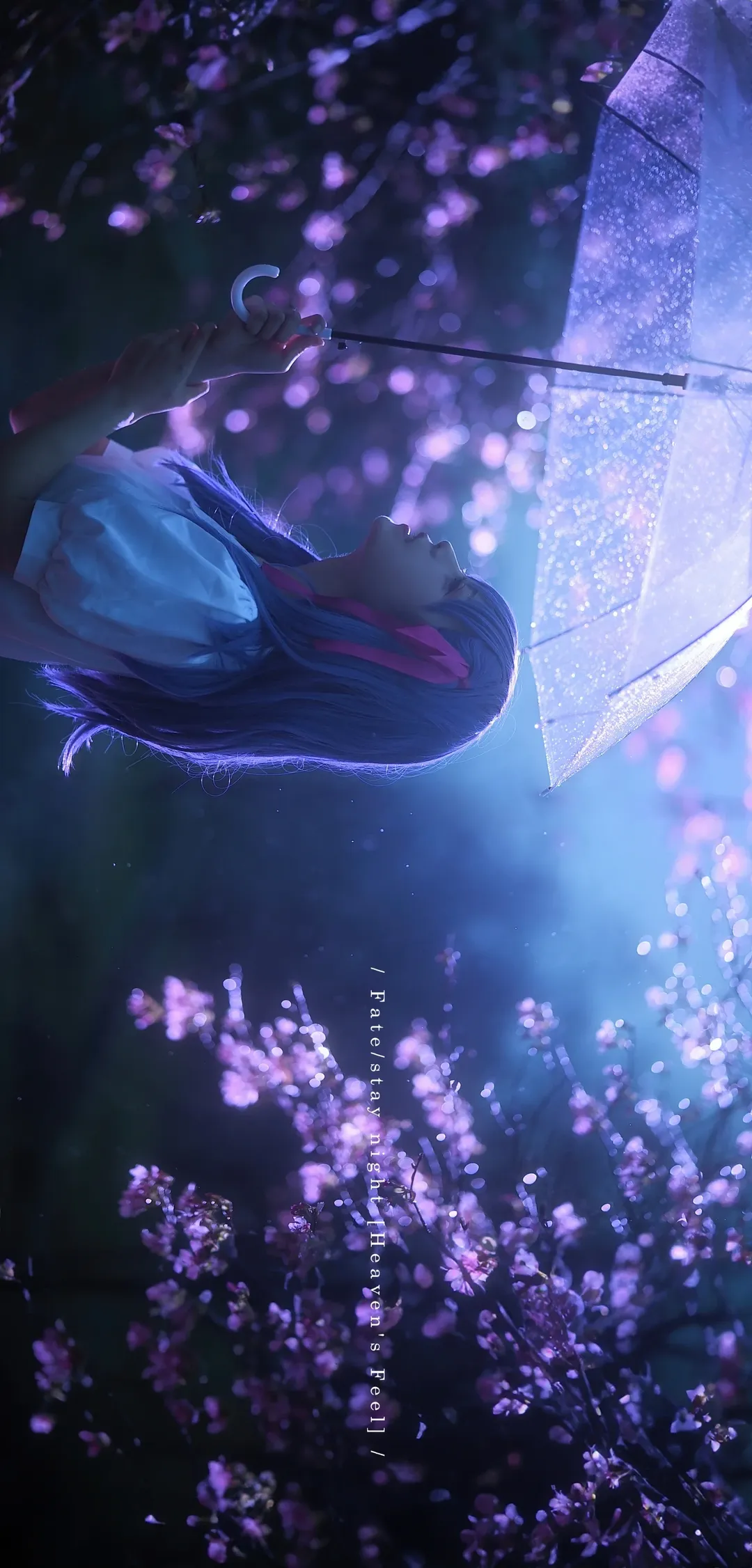 cosplay, Fate, 间桐樱cos, 夜景摄影, 蓝紫发 - 第6张