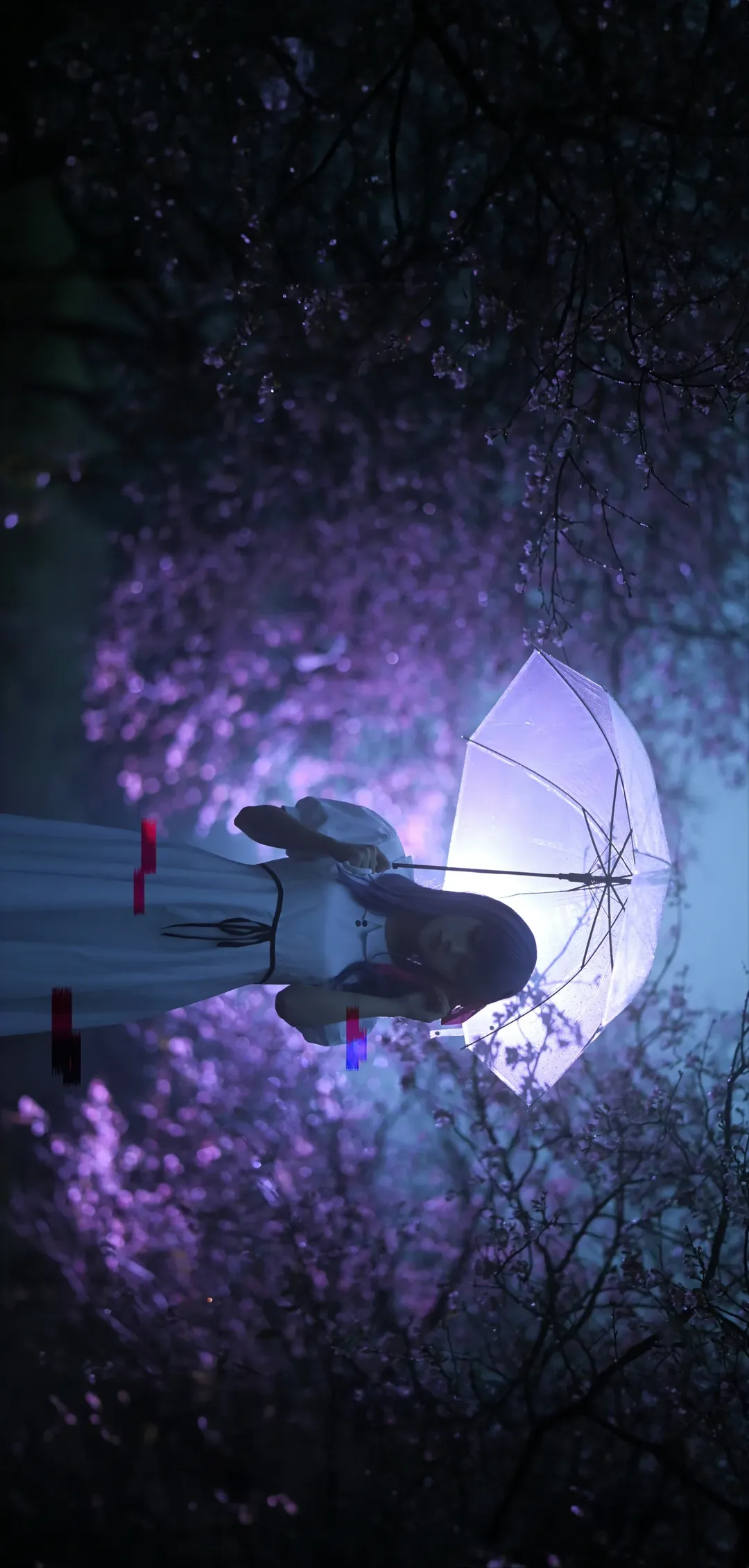 cosplay, Fate, 间桐樱cos, 夜景摄影, 蓝紫发 - 第7张