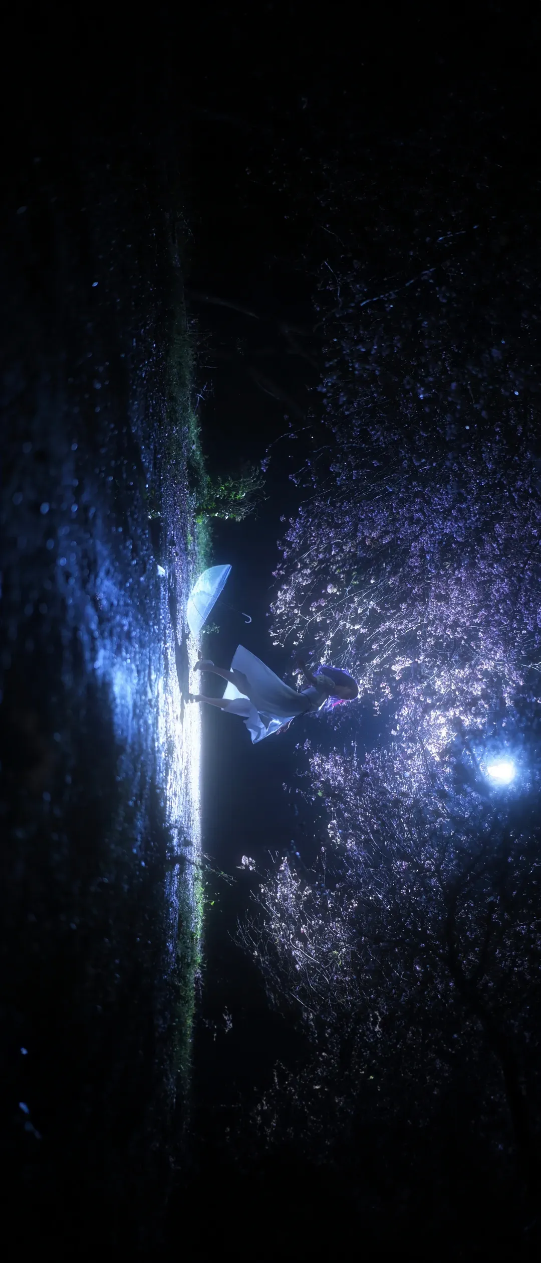 cosplay, Fate, 间桐樱cos, 夜景摄影, 蓝紫发 - 第8张