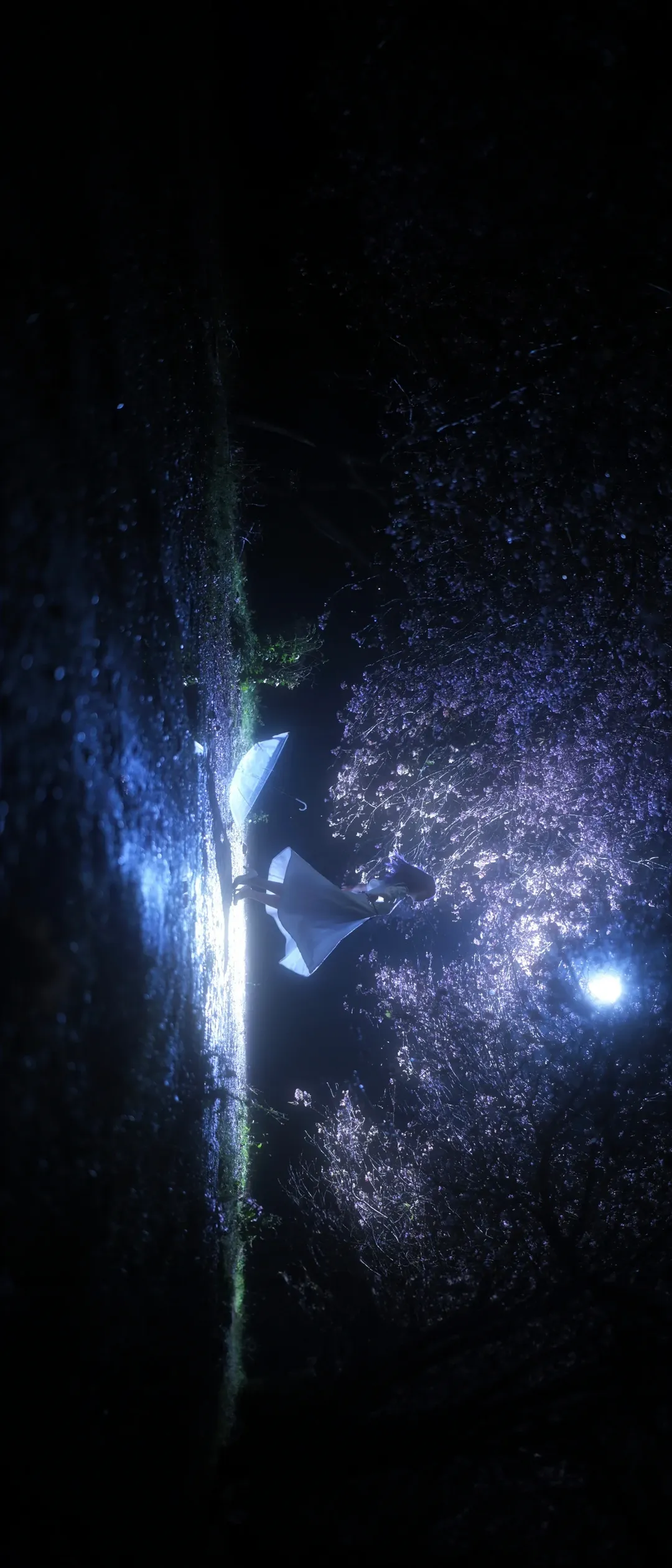 cosplay, Fate, 间桐樱cos, 夜景摄影, 蓝紫发 - 第9张