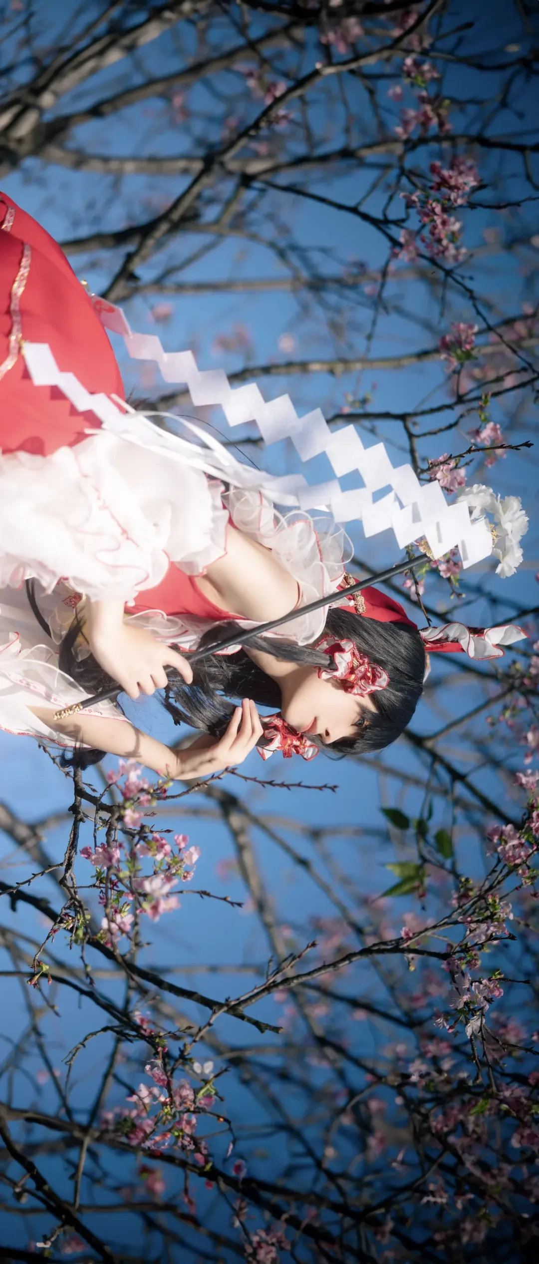 博丽灵梦cos, 东方project, 和风, 夜樱, 巫女服 - 第2张