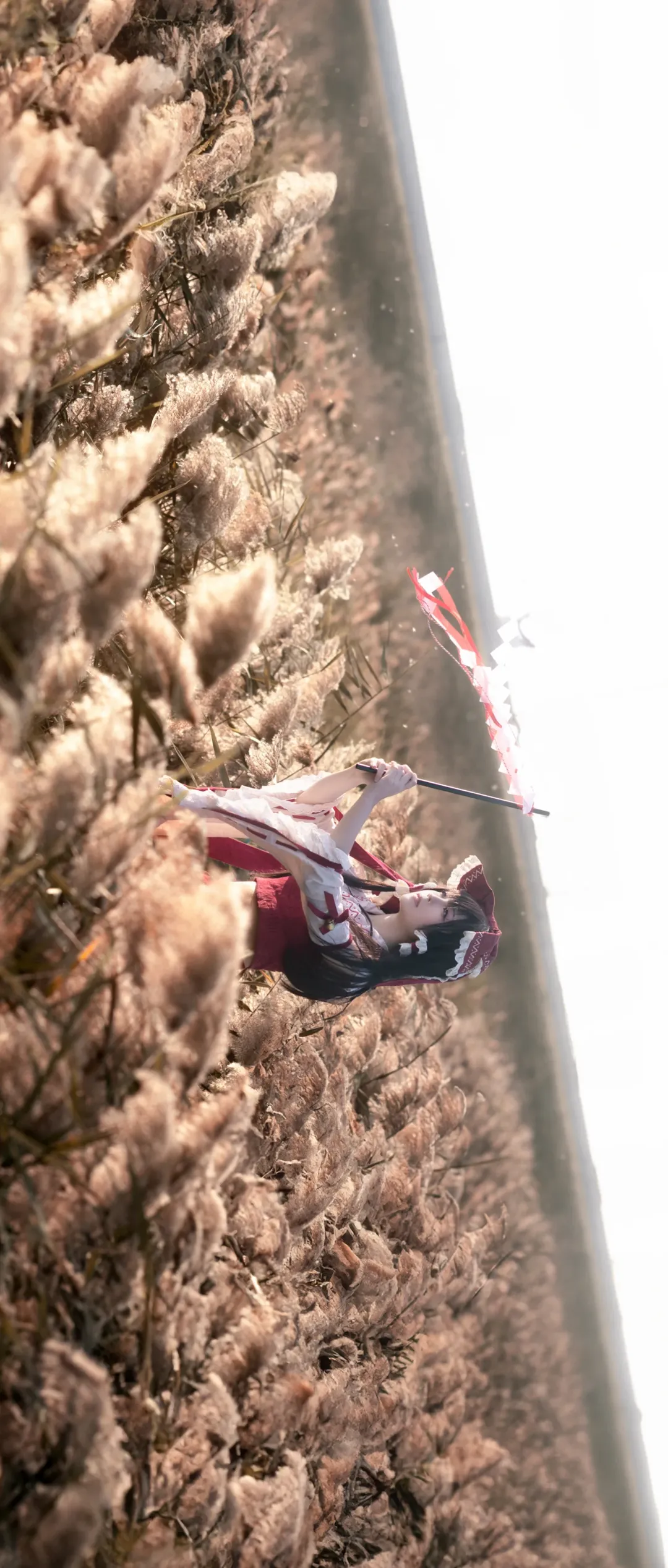 博丽灵梦cos, 东方project, 外景拍摄, 芦苇荡写真, 巫女服cosplay