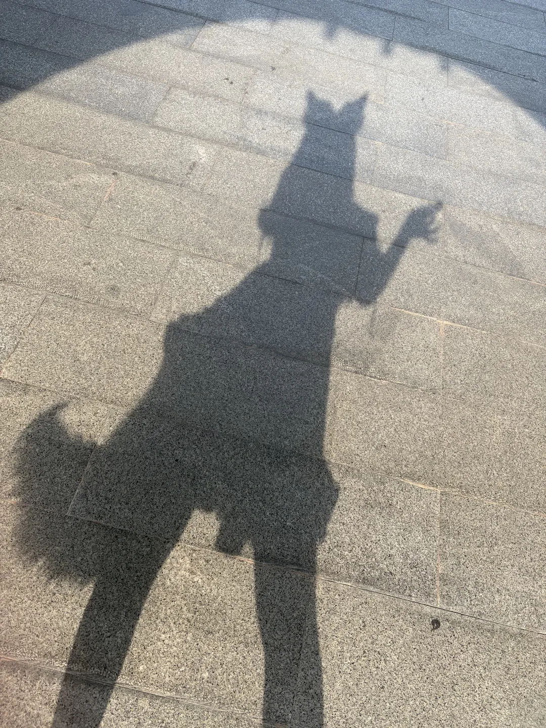 Touhou Project, Light and shadow photography, Fox cosplay, Outdoor cosplay photoshoot, Fanon fox - Image 1