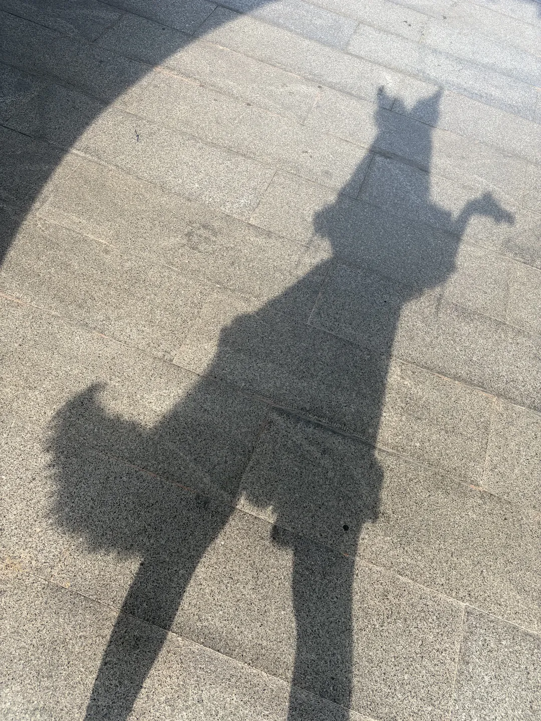 Touhou Project, Light and shadow photography, Fox cosplay, Outdoor cosplay photoshoot, Fanon fox - Image 3