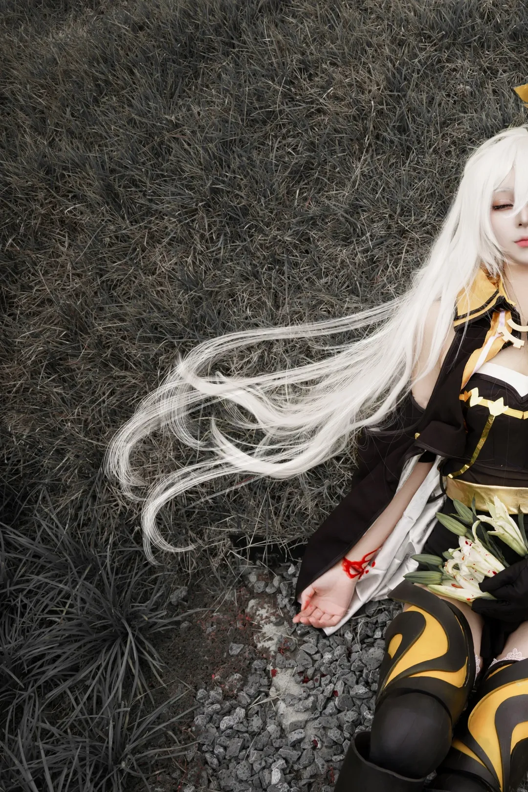 崩坏3, 二次元摄影, cosplay正片, 塞西莉亚cos, 黑渊白花 - 第1张