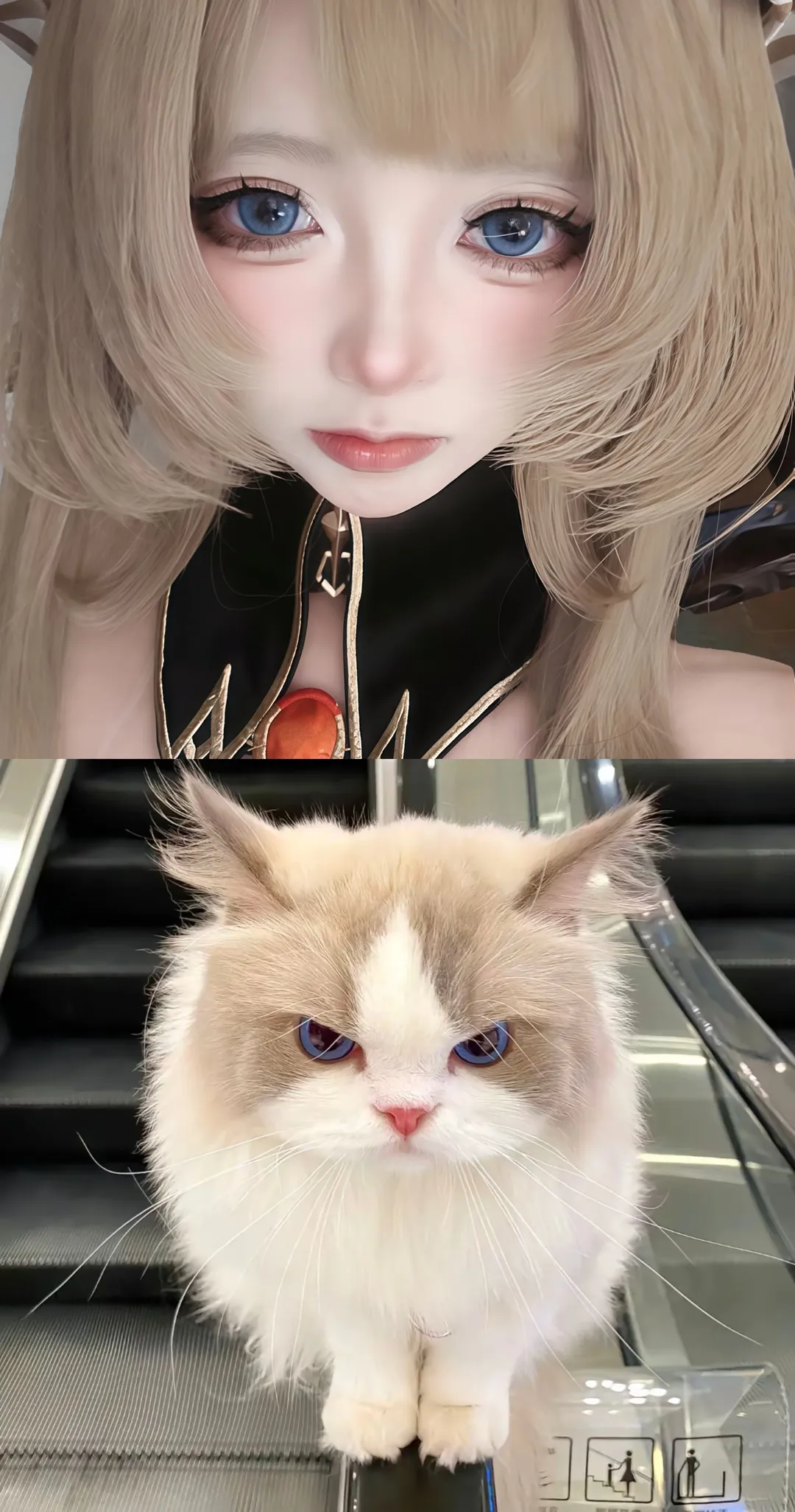 二次元, サンドローネ コスプレ, 原神, コスプレ, ラグドール - 2枚目