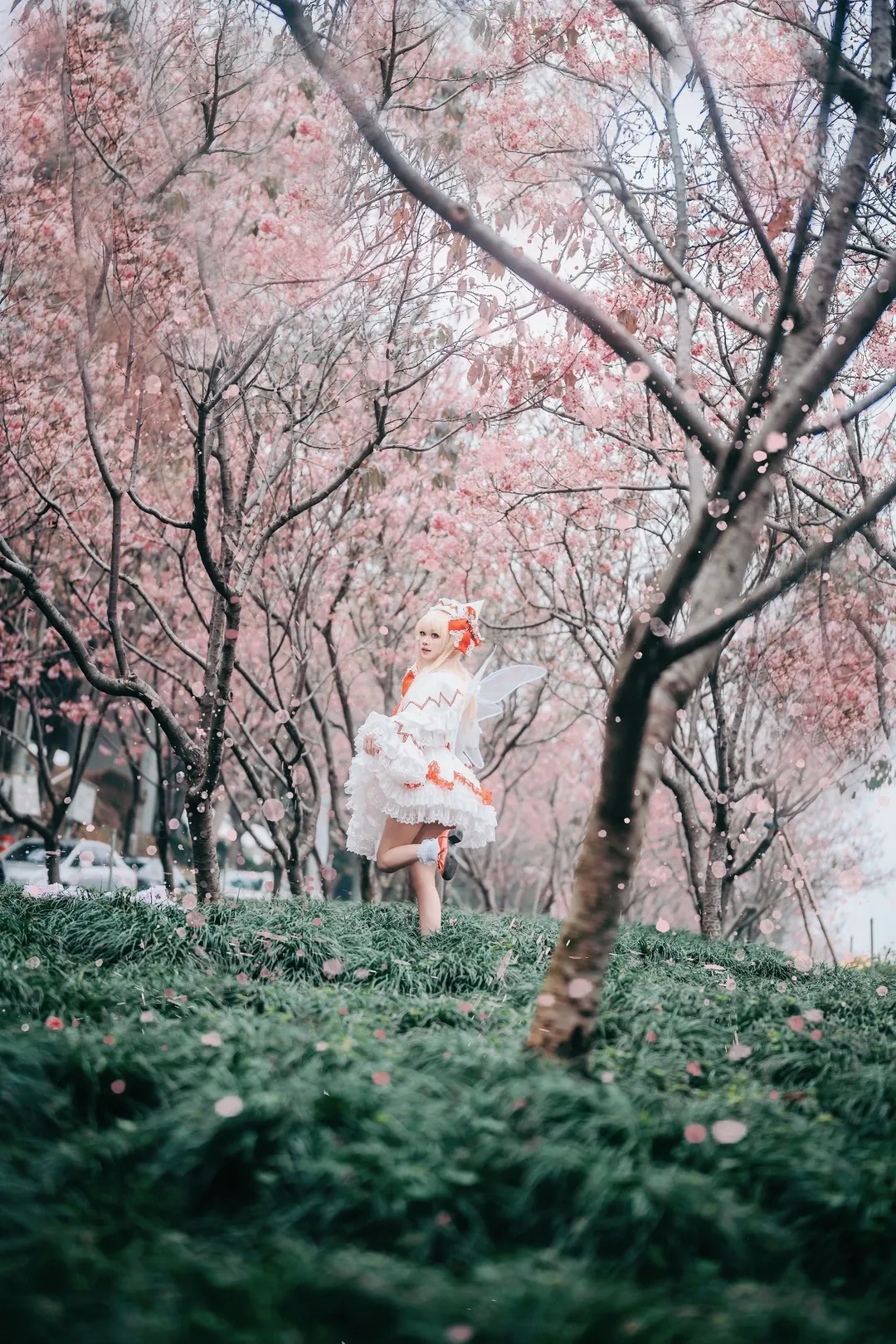 东方Project, cosplay摄影, 莉莉白cos, 樱花cos, 大屏山郊野公园