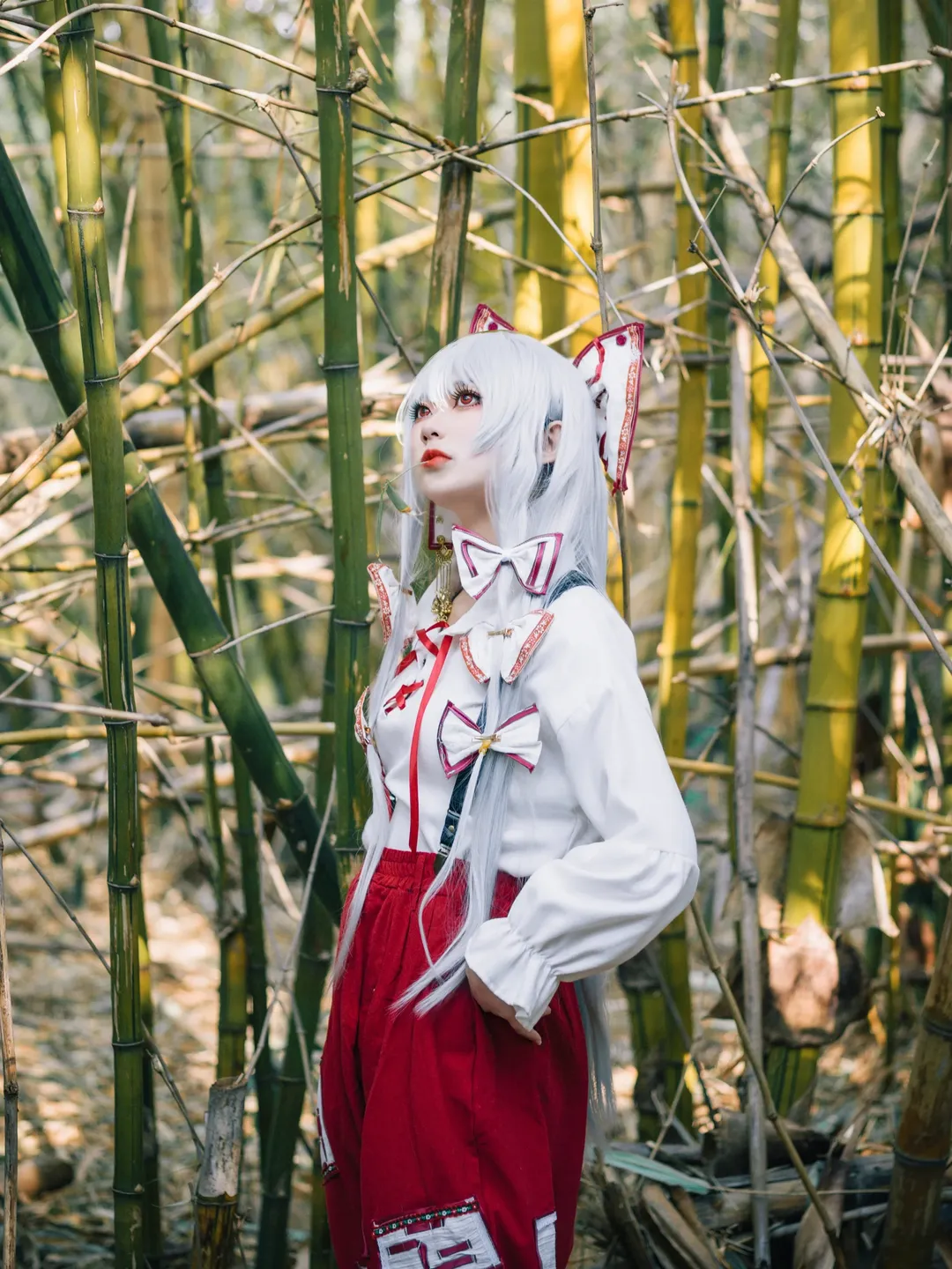 Outdoor photography, Fujiwara no Mokou cosplay, Silver hair, red eyes, Bamboo forest photoshoot, Touhou Project - Image 1