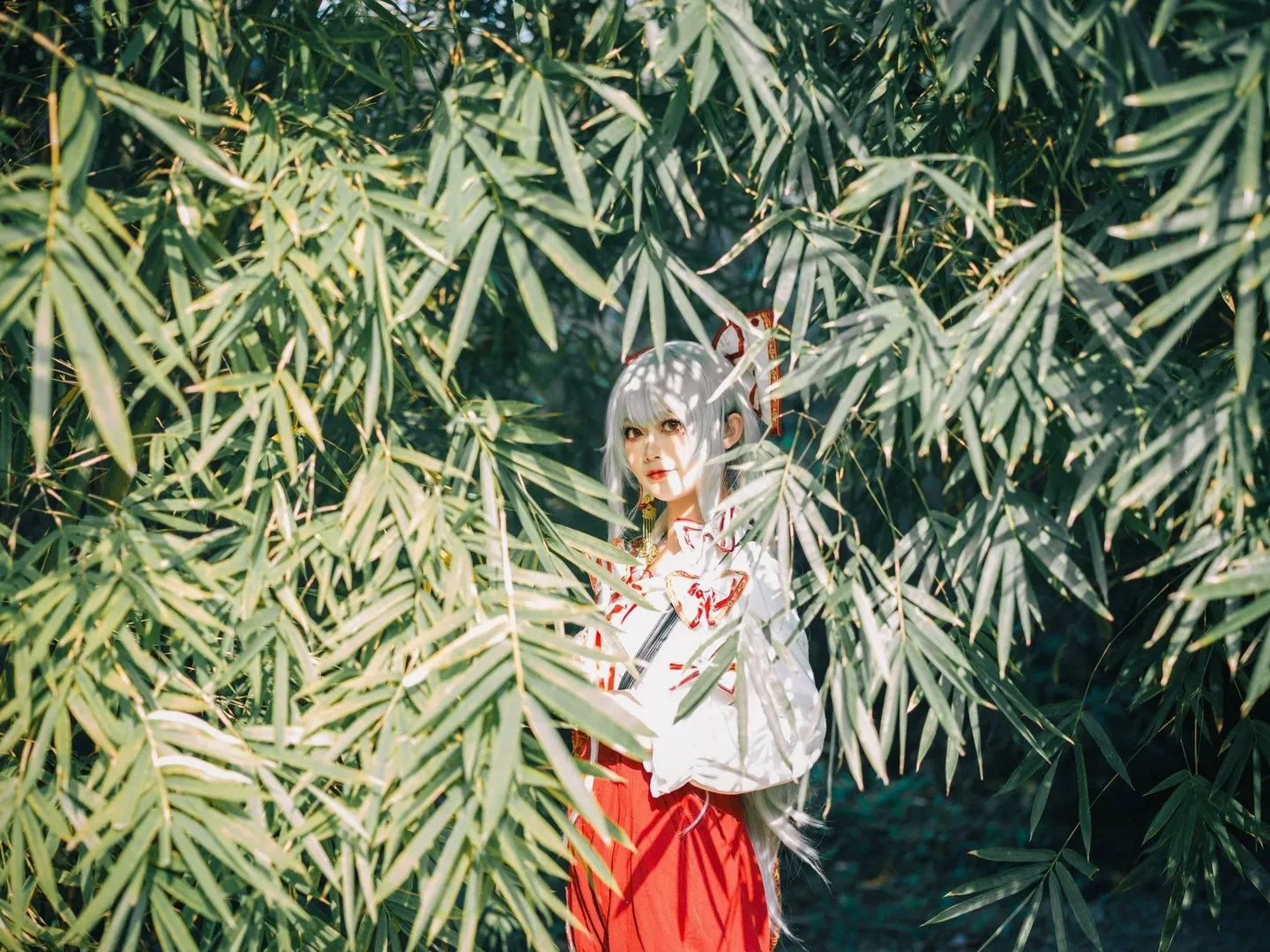 Outdoor photography, Fujiwara no Mokou cosplay, Silver hair, red eyes, Bamboo forest photoshoot, Touhou Project - Image 8