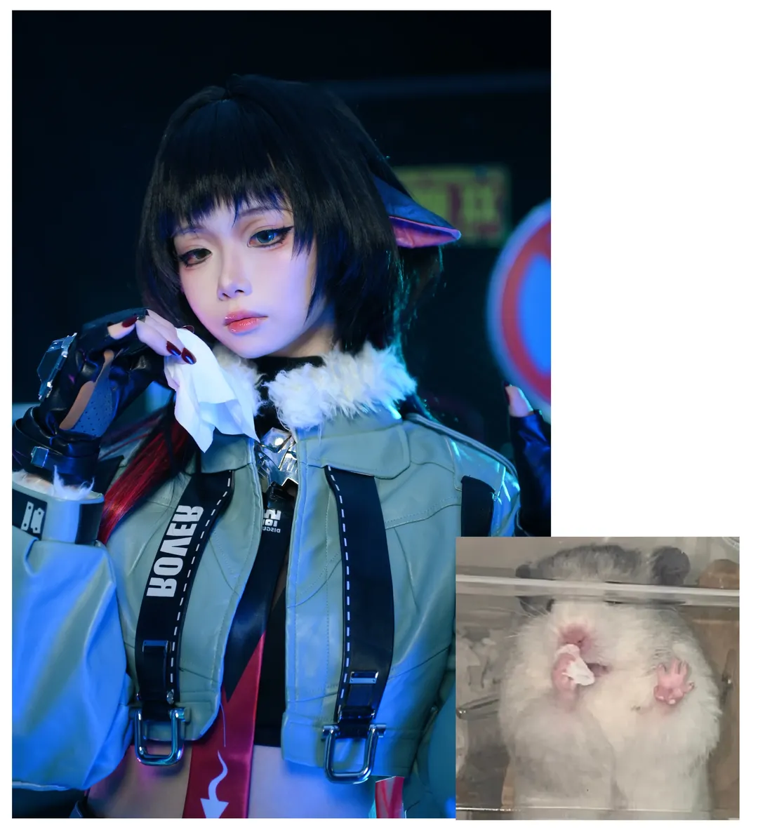 绝区零, cosplay日常, 二次元穿搭, 兽耳娘, 简杜cos - 第5张