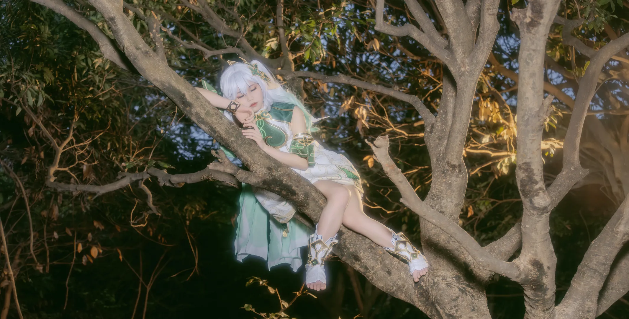 原神, 纳西妲cos, 户外摄影, 精灵cosplay, 森林写真 - 第1张