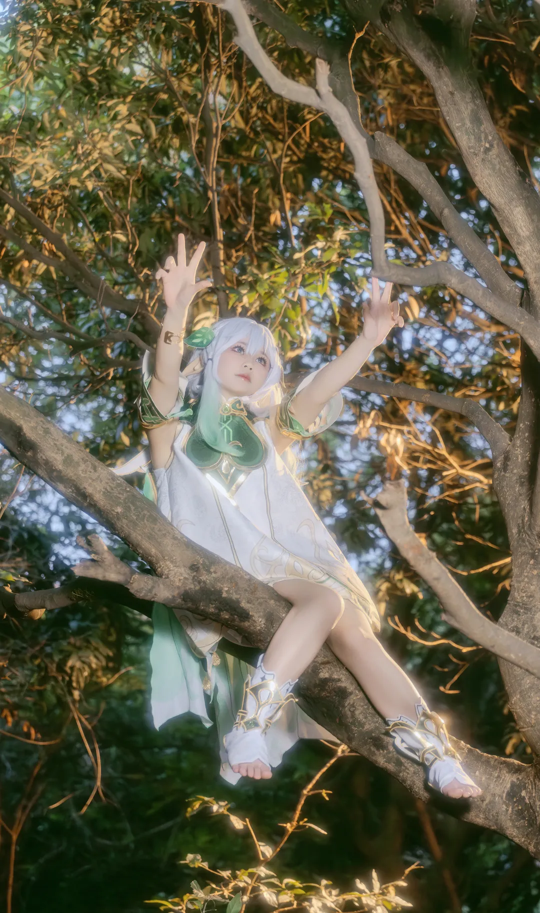 原神, 纳西妲cos, 户外摄影, 精灵cosplay, 森林写真 - 第15张