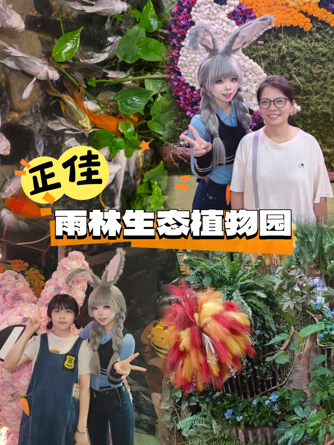 二次元, 朱迪cos, 正佳雨林馆, 正佳超级动漫狂欢节, 雨林拍照 - 第1张