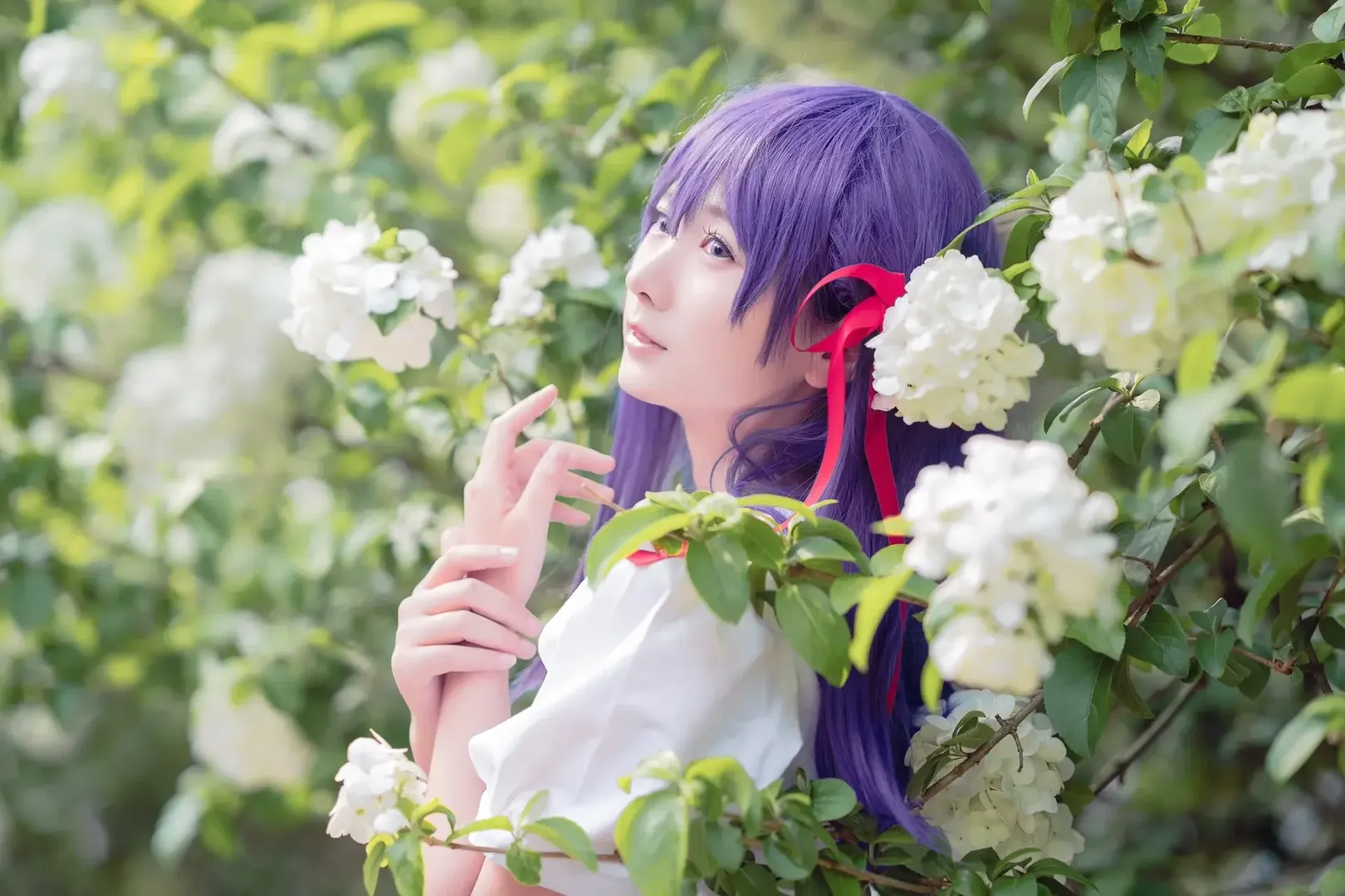 少女写真, 人像摄影, 间桐樱cos, fate, 成都约拍 - 第4张