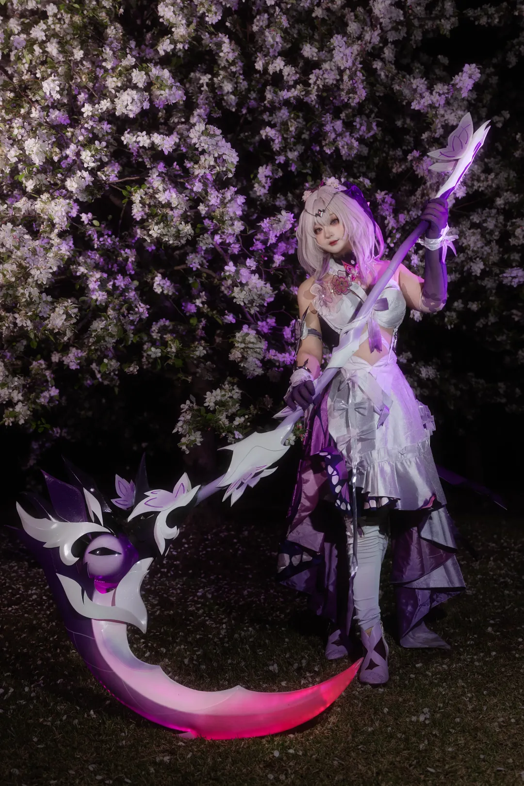 崩坏星穹铁道, 花海摄影, 遐蝶cos, 星铁cos, cosplay分享 - 第1张