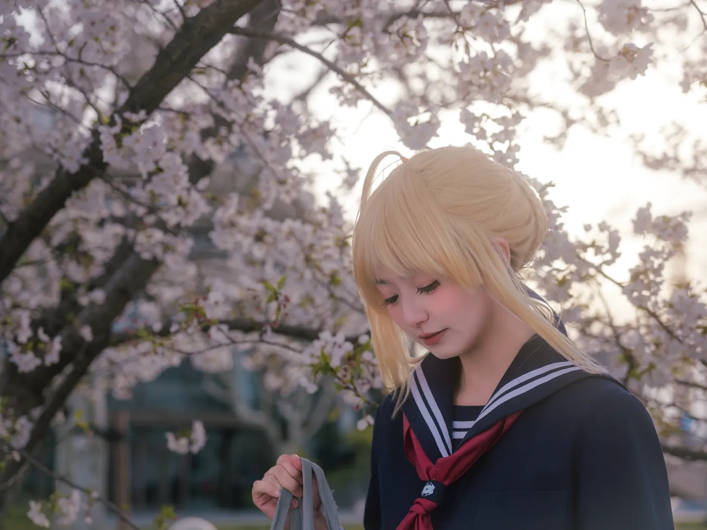 阿尔托莉雅cos, Fate, JK制服, 白丝穿搭, 樱花写真 - 第12张