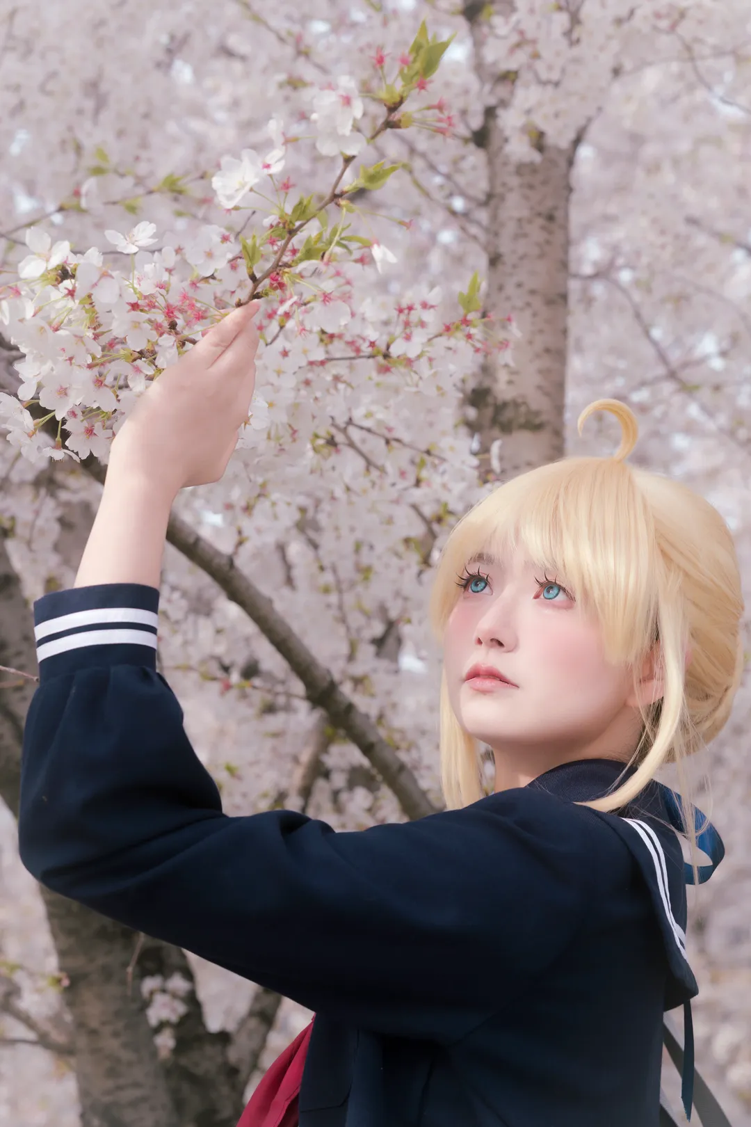 阿尔托莉雅cos, Fate, JK制服, 白丝穿搭, 樱花写真 - 第2张