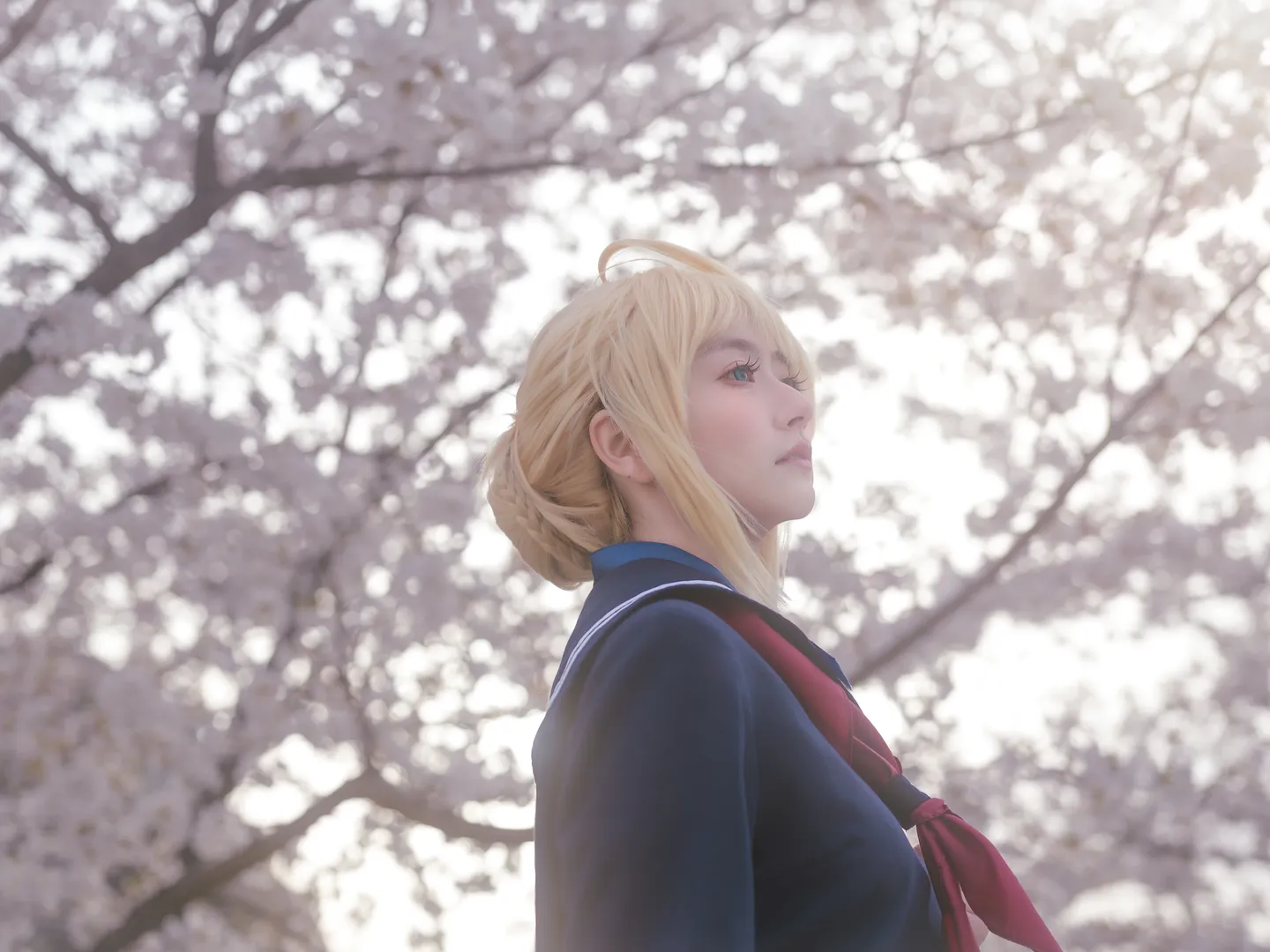 阿尔托莉雅cos, Fate, JK制服, 白丝穿搭, 樱花写真 - 第4张