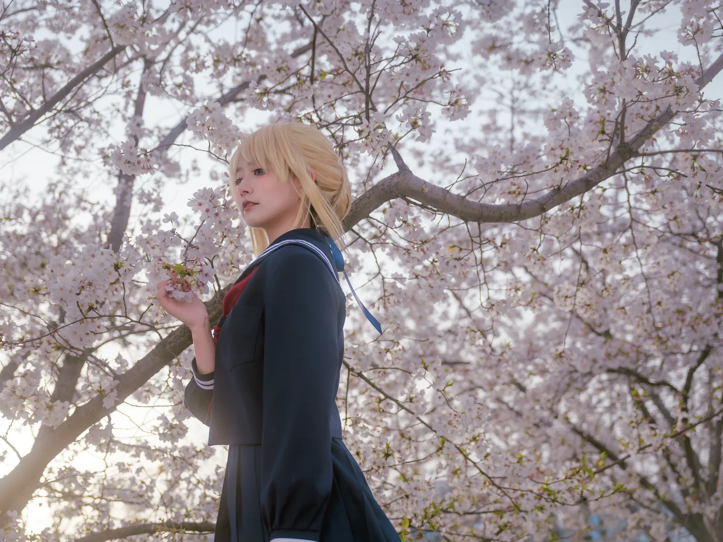 阿尔托莉雅cos, Fate, JK制服, 丝袜穿搭, 樱花写真 - 第4张