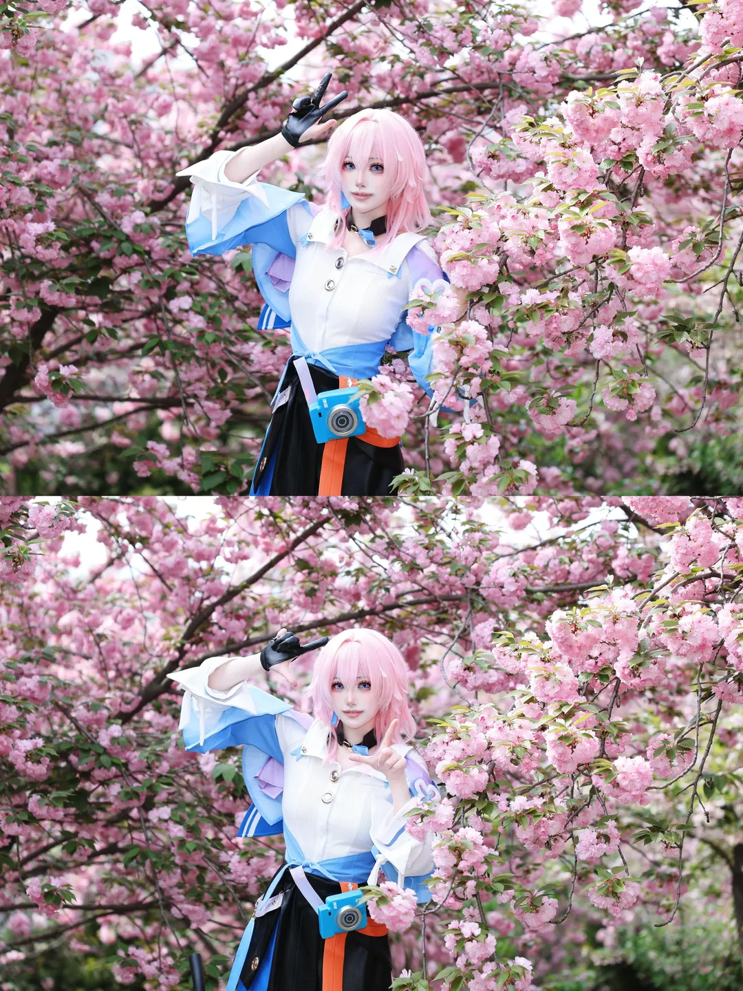 Anime girl, Honkai: Star Rail, March 7th cosplay, Cherry blossom outdoor scene, Cosplay photography - Image 5