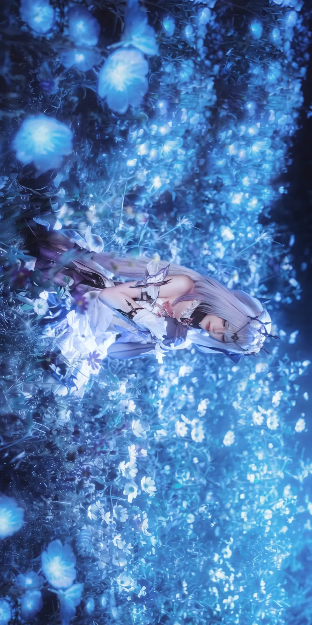 Anime-style photography, Honkai: Star Rail, Castorice cosplay, Blue sea of flowers, Cosplay sharing