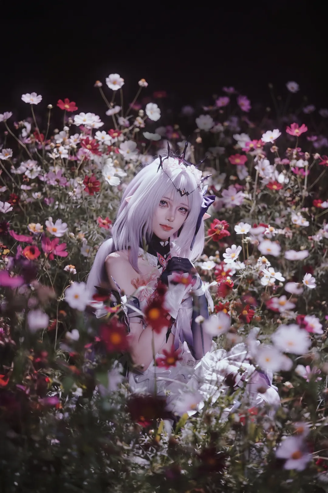 崩坏星穹铁道, 二次元cosplay, 遐蝶cos, 梅州约拍, 丝袜穿搭 - 第2张