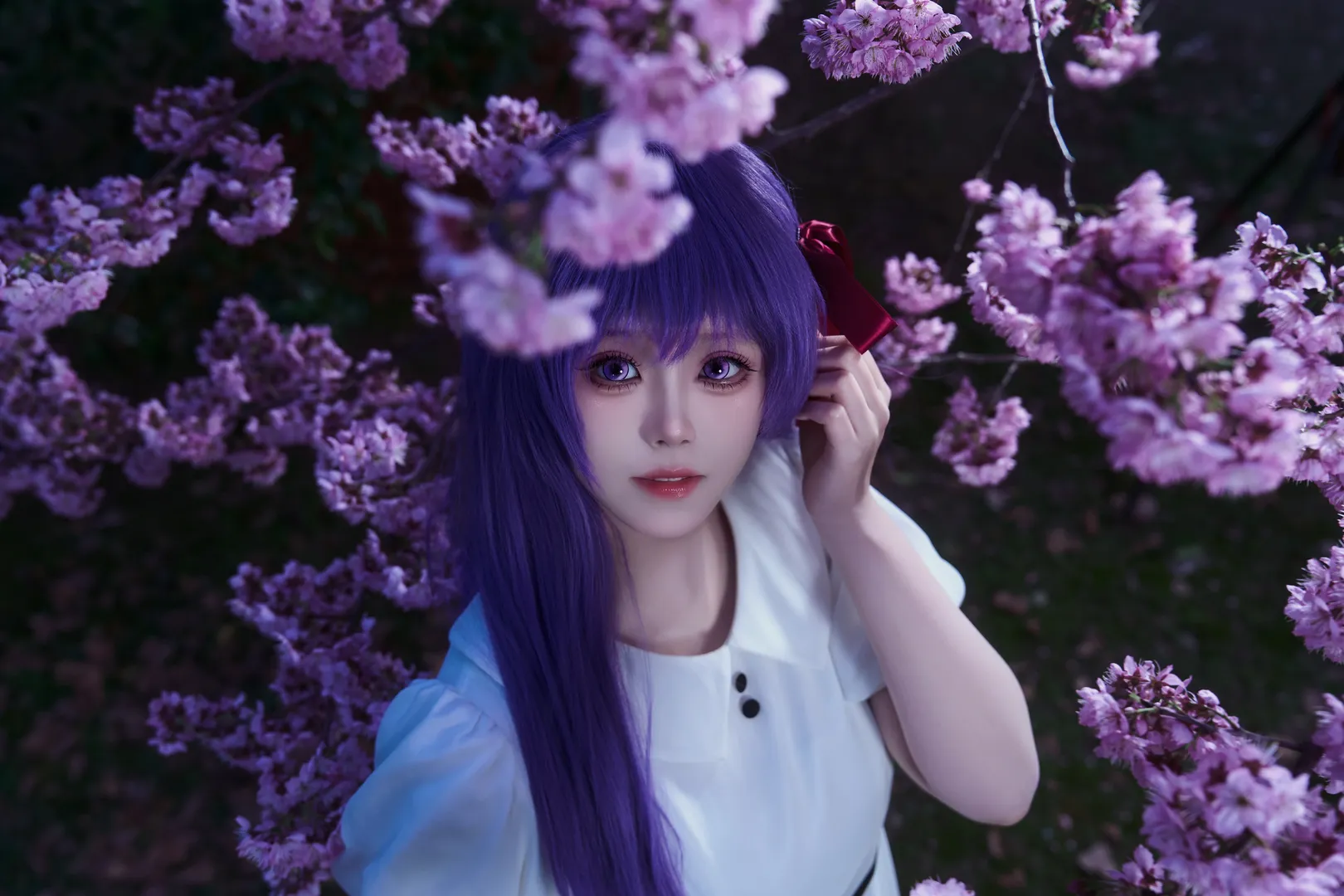 间桐樱cos, fate, fgo cosplay, 夜樱写真, 透明伞氛围感