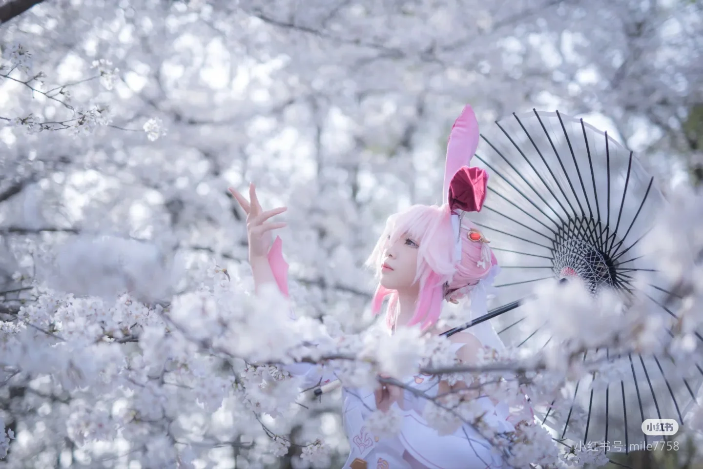 二次元撮影, 葬送のフリーレン, フリーレン コスプレ, 花畑での写真, 武漢コスプレ撮影 - 3枚目